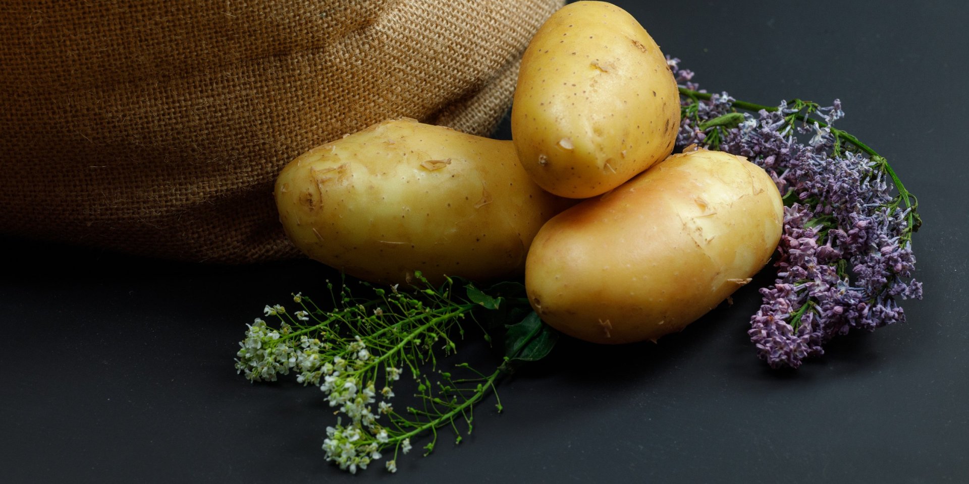 Королева полей. Какой сорт картофеля выбрать для посадки в 2026 году