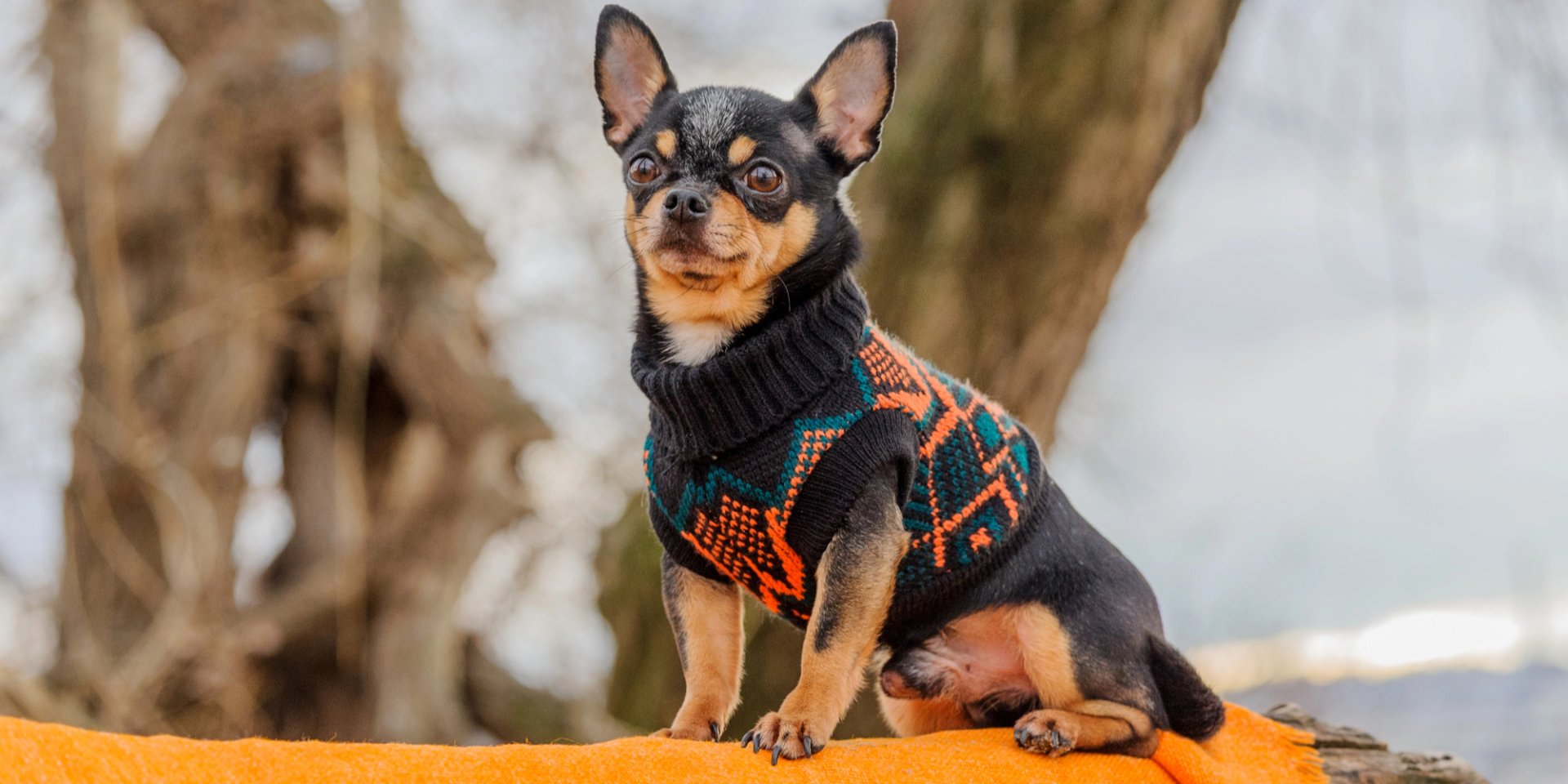 Температура упадет до минусов. Синоптик сообщила, когда значительное похолодание охватит Украину