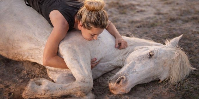 В США 19-летний конь установил мировой рекорд, выполнив 38 различных трюков менее чем за три минуты