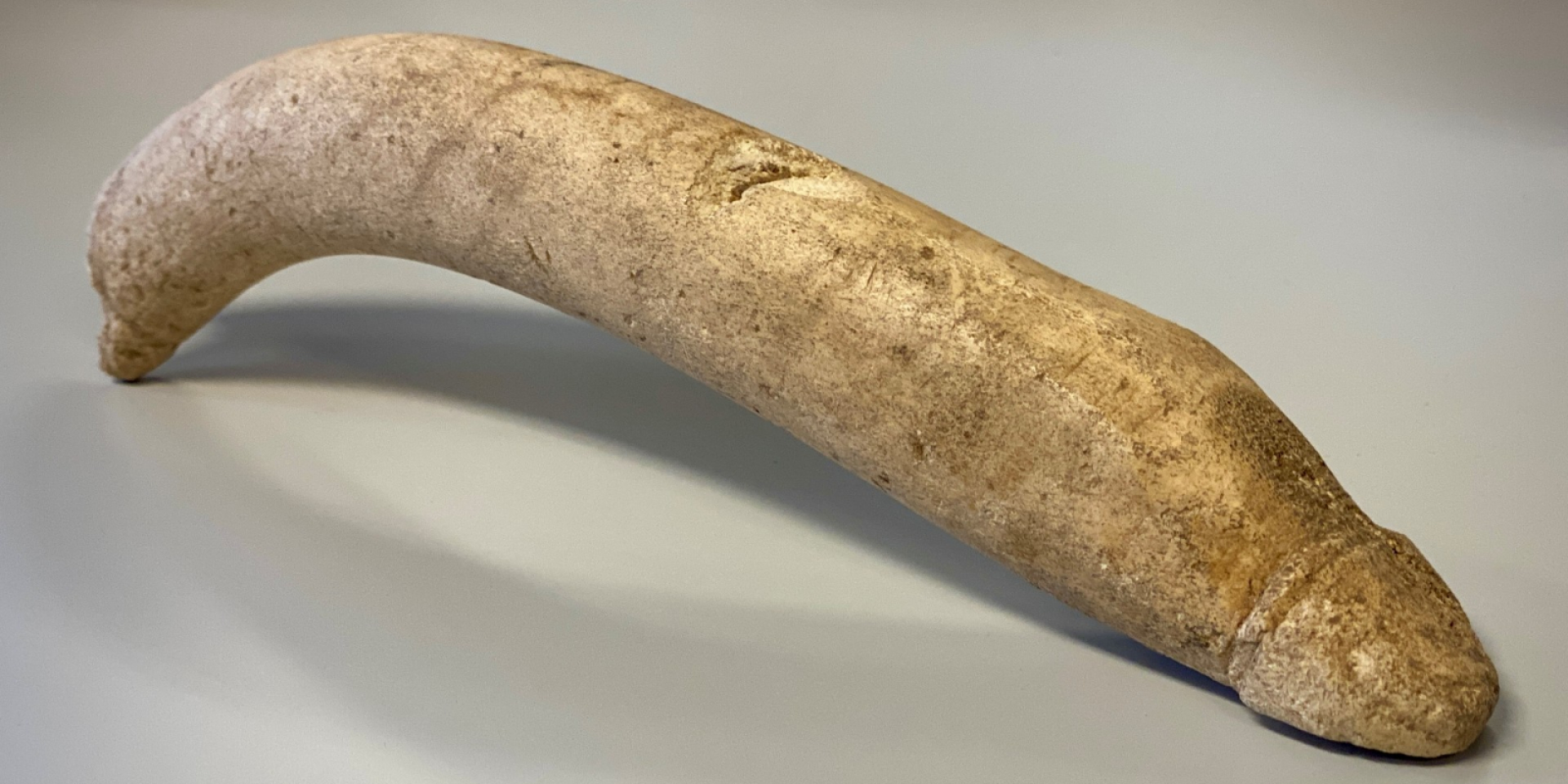 Не эротика, а защита. В музейном ломе Нидерландов нашли редкий римский фаллос, выточенный из кости