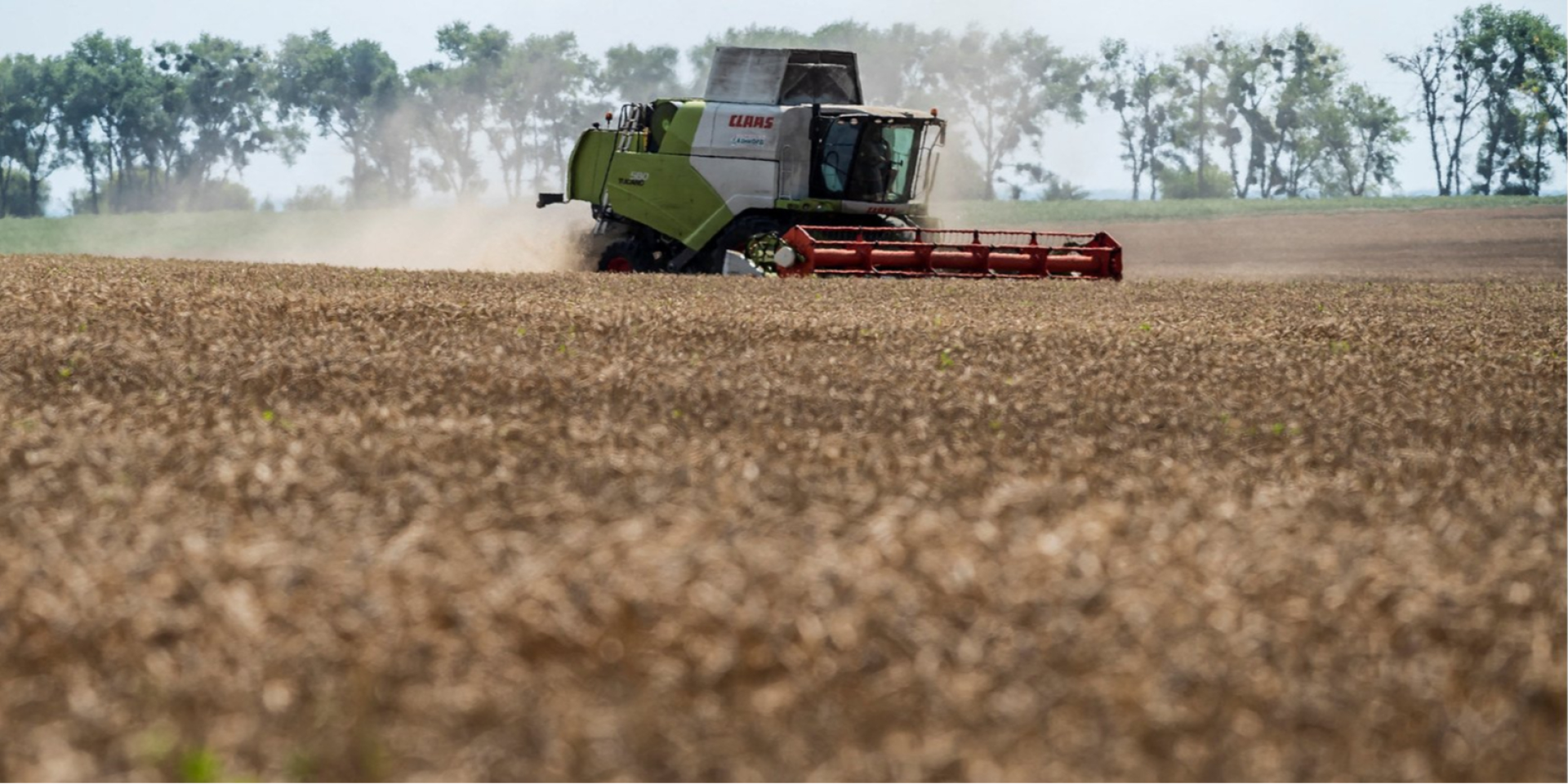 Обратная сторона евроинтеграции. Украинские аграрии могут потерять до 20% урожаев и минимум $2 млрд в год — замминистра