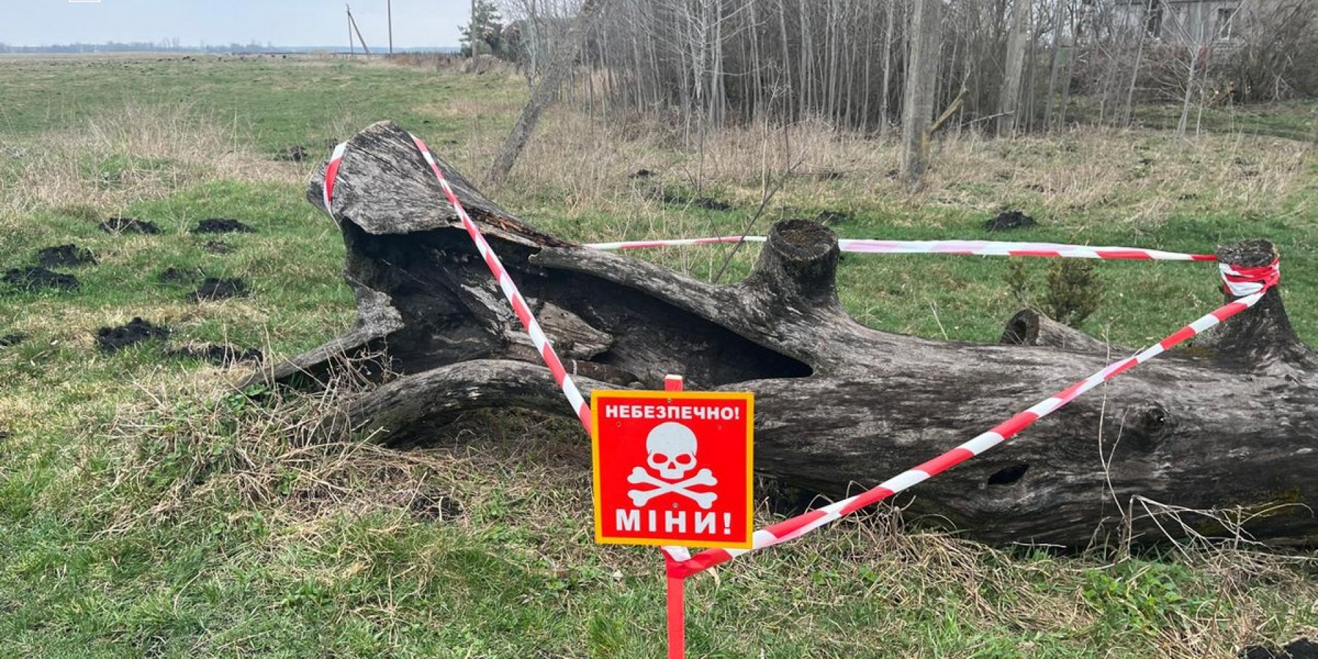 У селах на Тернопільщині виявили снаряди часів Другої світової (Фото: Головне управління ДСНС України у Тернопільській області﻿/Facebook)