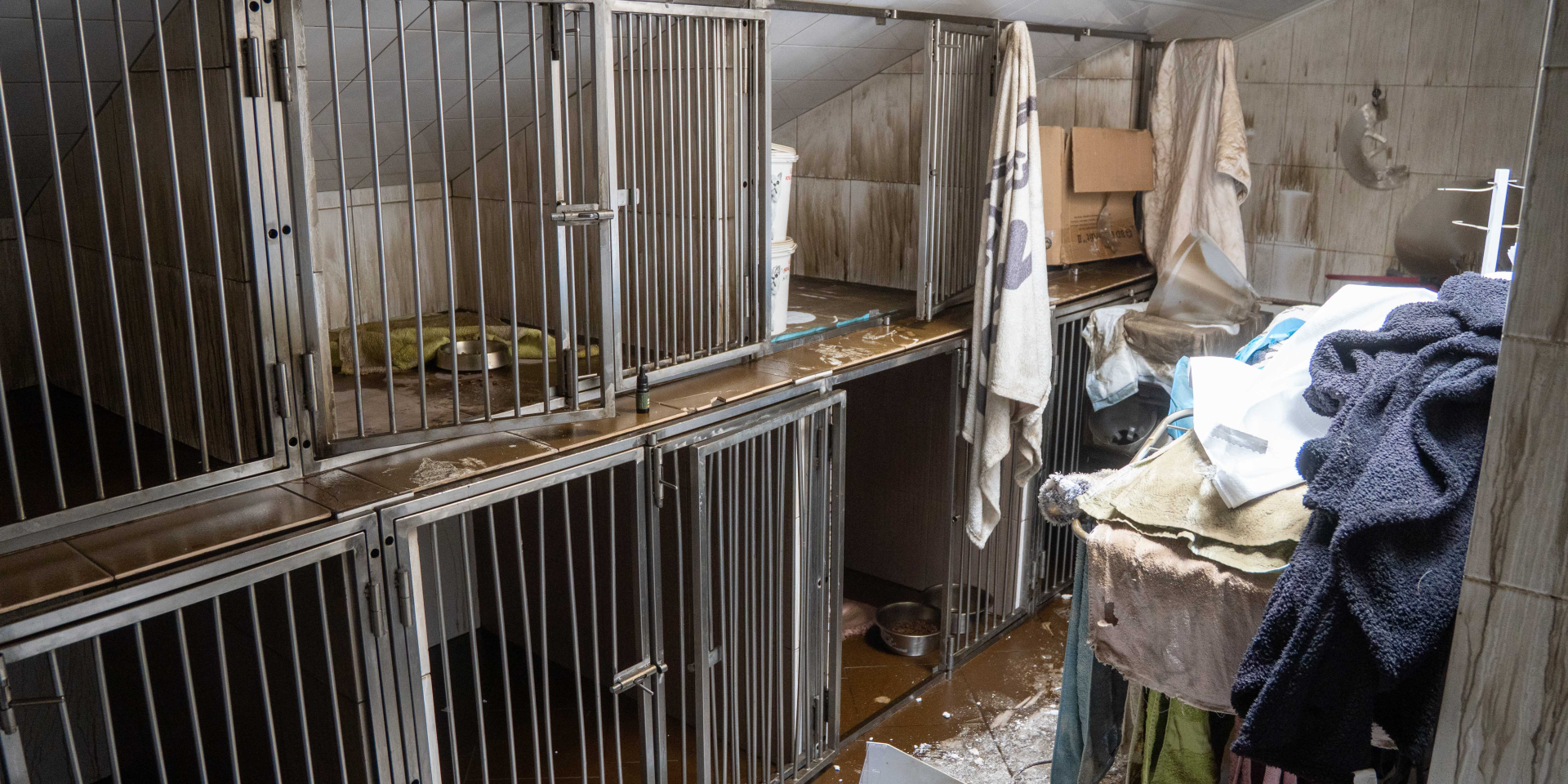 «Вышли — все в огне». Администратор ветклиники в Чабанах рассказала о последствиях удара РФ — фото, видео