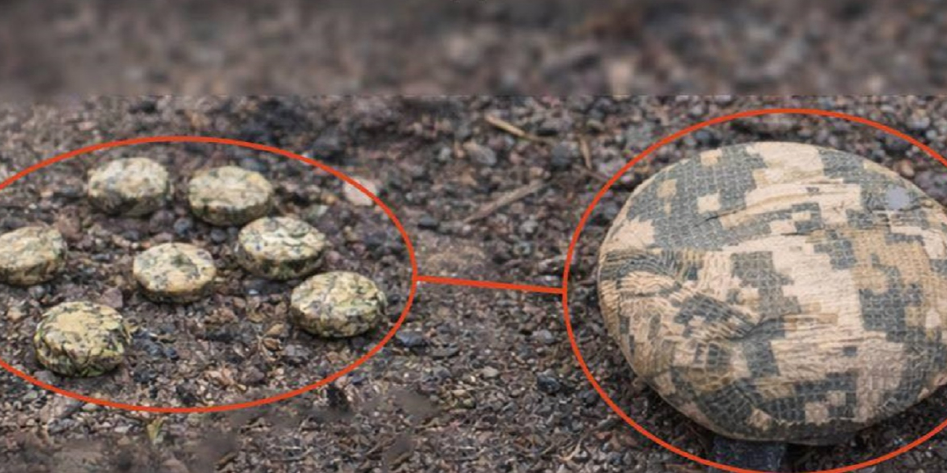 Меньше Лепестка, но мощнее. Россияне начали сбрасывать с БпЛА новые почти незаметные мины Пряник — фото