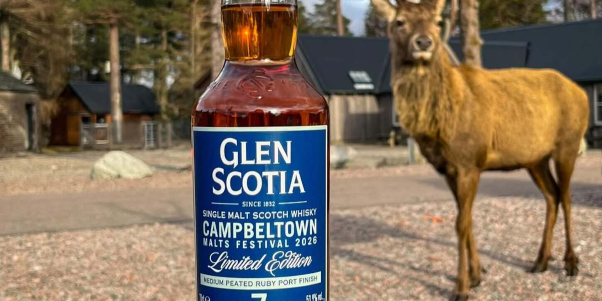 От новичков до бюджетного Спейсайда. Авторитетный конкурс назвал лучшие скотчи каждого региона