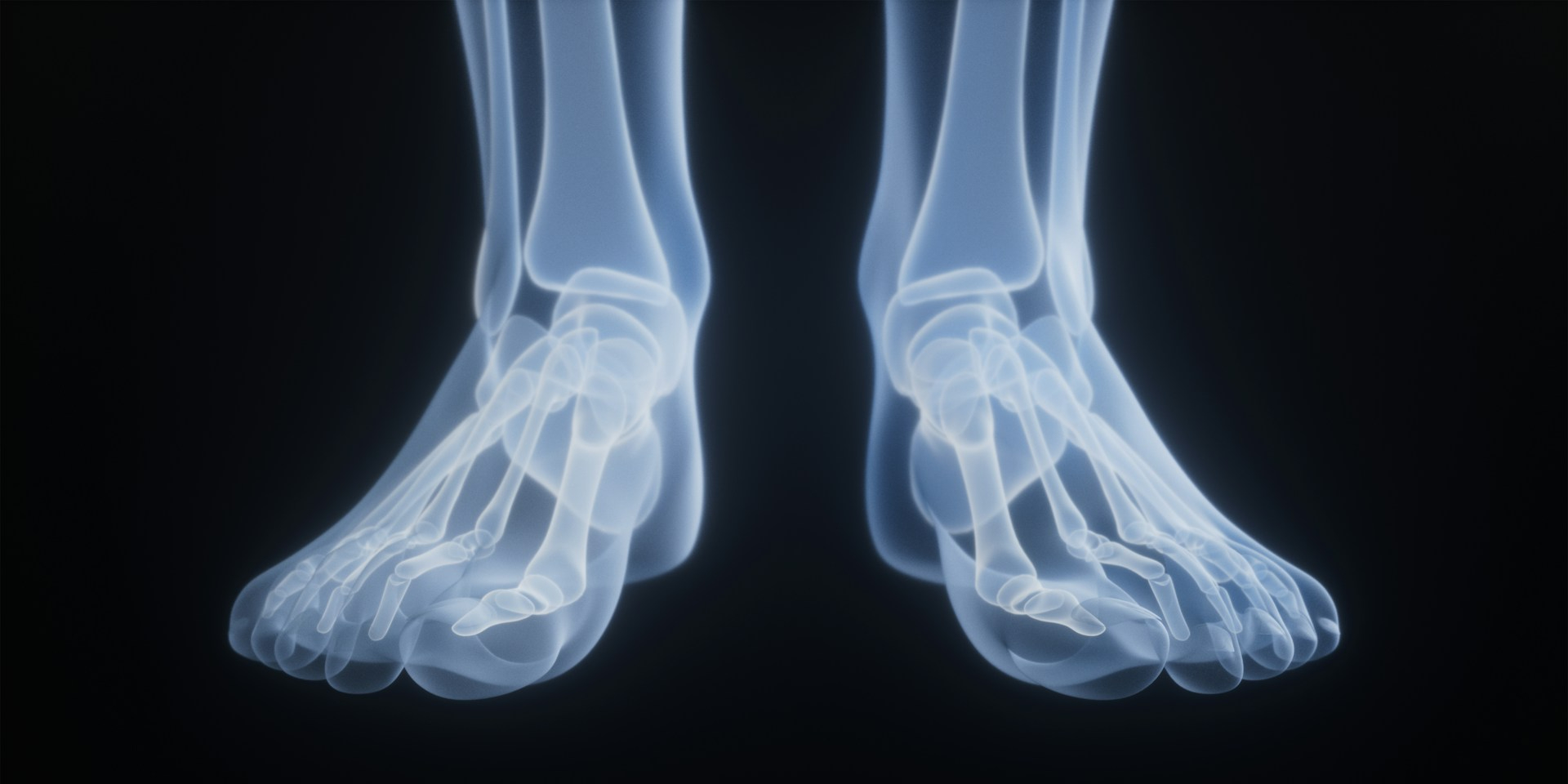 Профилактика остеопороза. В Германии нашли способ противодействовать разрушению костной ткани