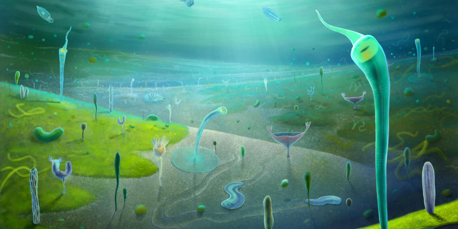 Эволюционный прорыв. В Китае обнаружили останки существ, похожих на песчаных червей из Дюны