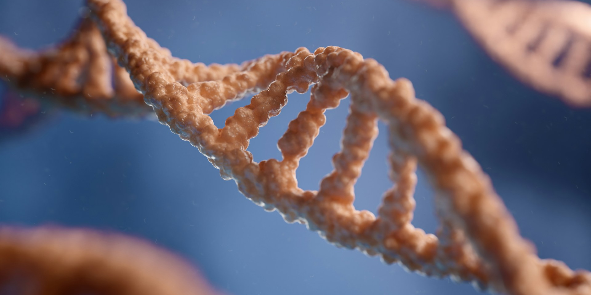 Ген KLF5 сприяє поширенню раку — дослідження CRISPR (Фото: Unsplash)