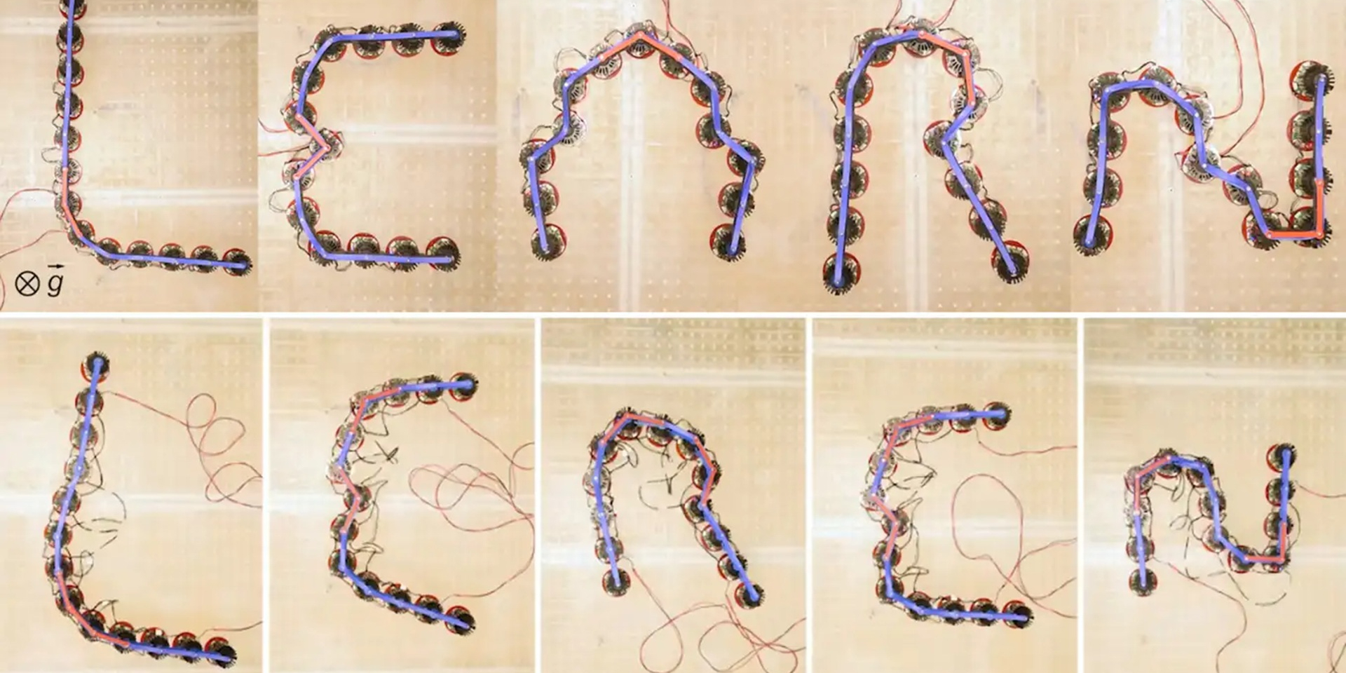 Эволюция материи. Новые разработки ученых позволяют материалам менять форму и двигаться