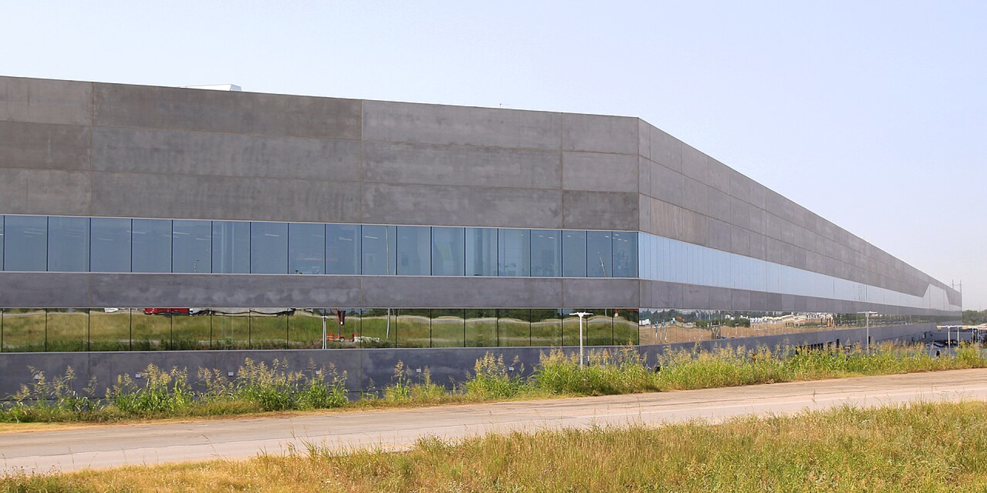 Tesla возвращает титул лидера. Компания Маска обошла BYD по продажам электромобилей