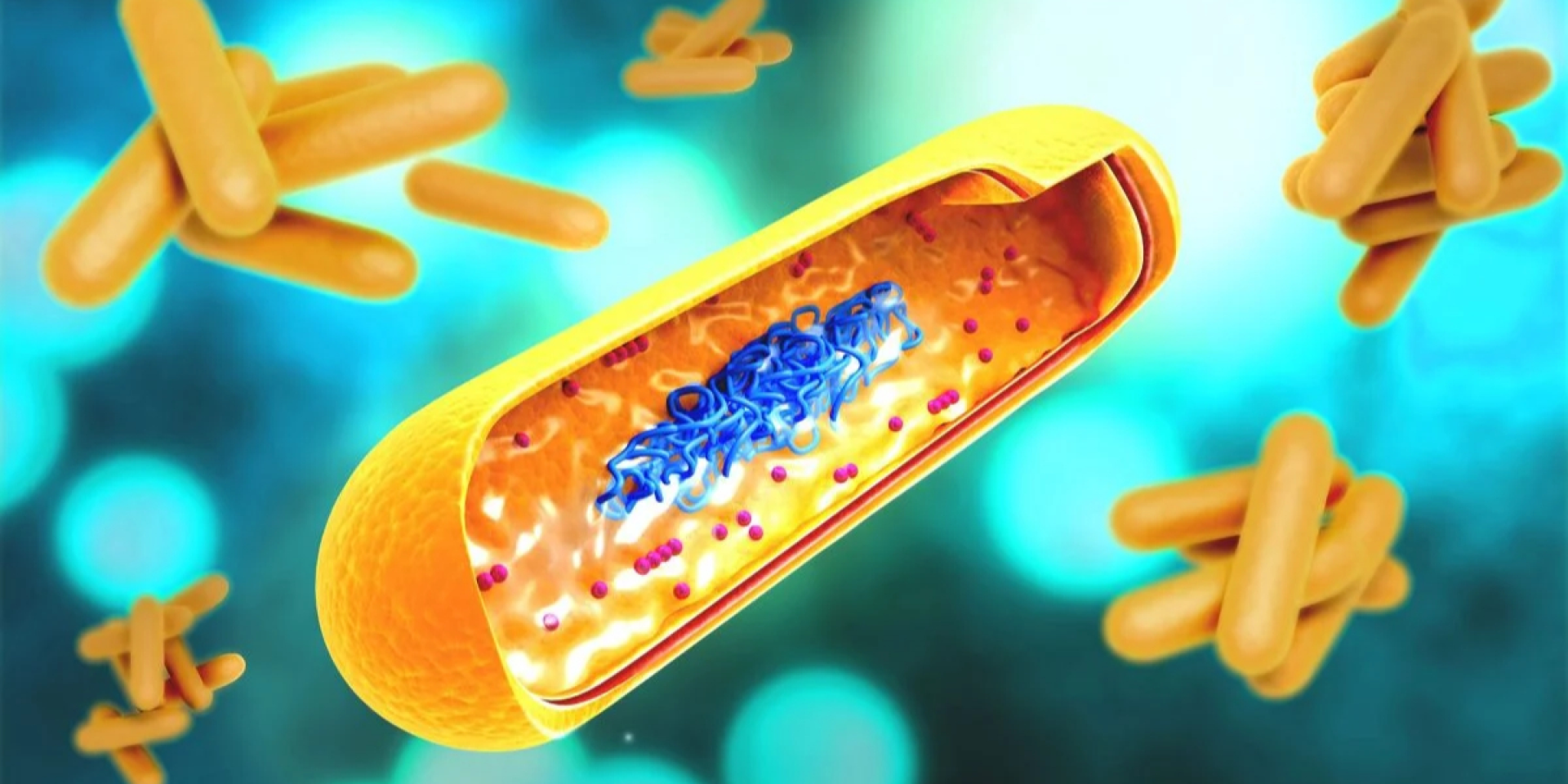 Иллюстация бактерии туберкулеза (Фото: U.S. Centers for Disease Control and Prevention)