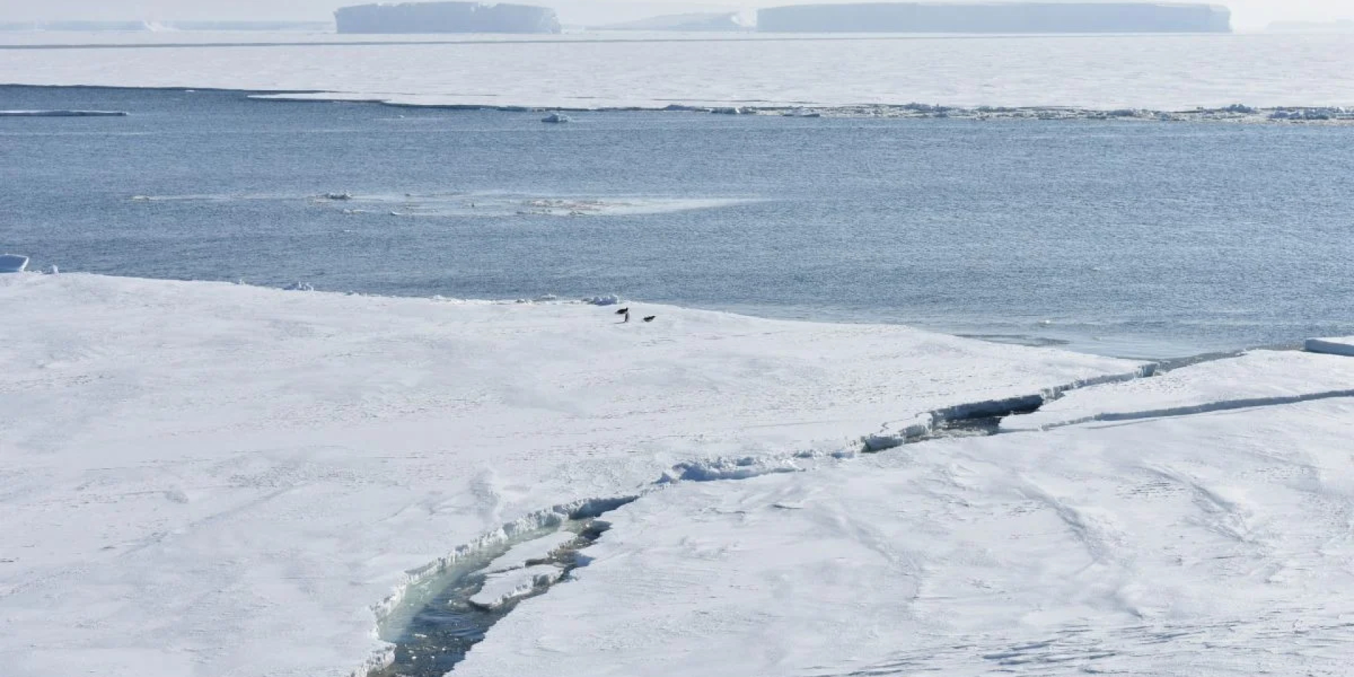 Значительные колебания. Морской лед Антарктиды резко сократился из-за штормов и потепления глубинных вод