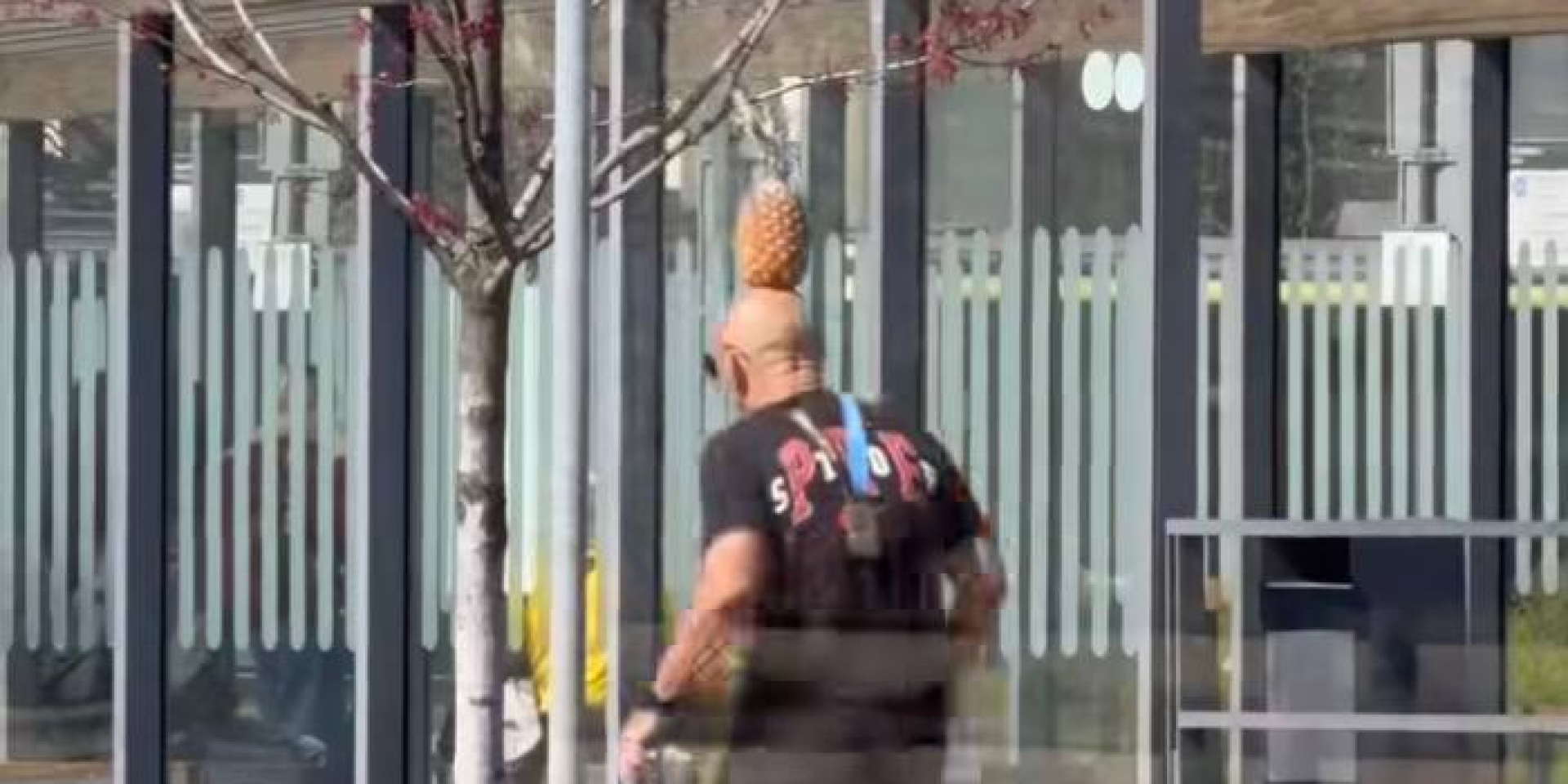 В Украину приехал марафонец, известный как бегун с ананасом на голове — видео