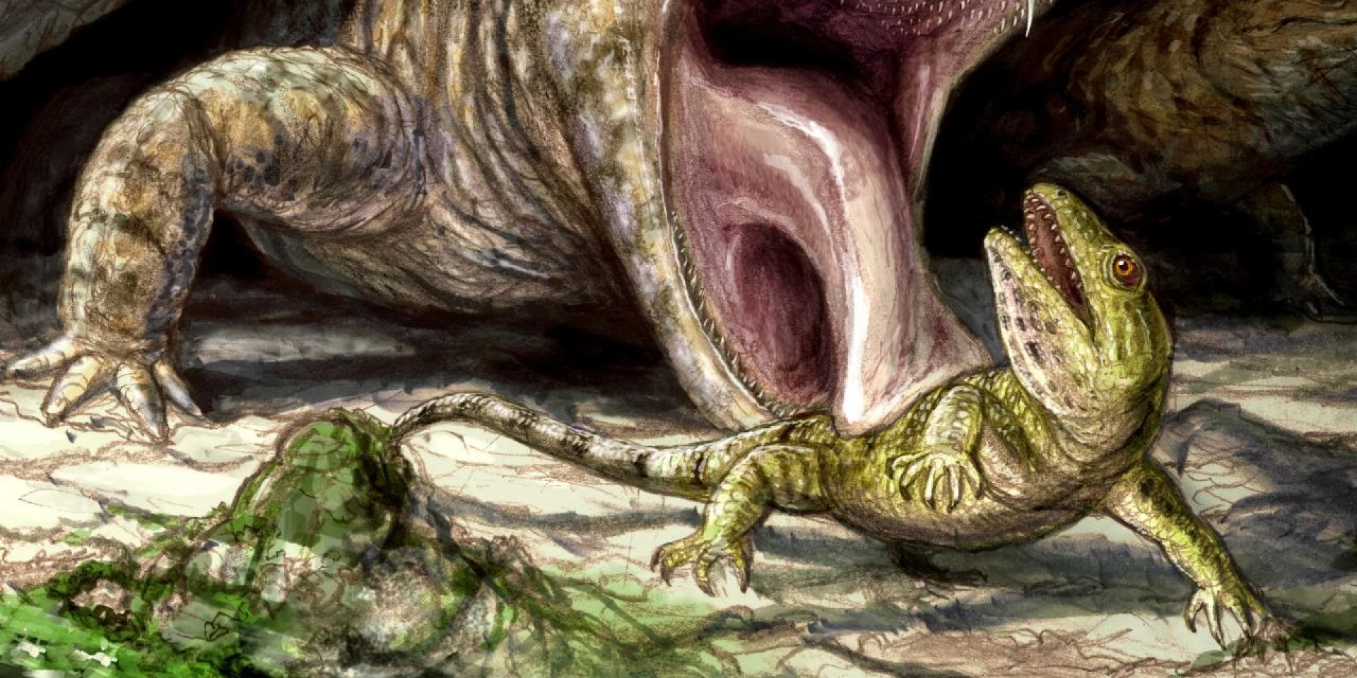 Мумия вымершего существа Captorhinus aguti сохранилась в пещерах США (Фото: Archaeology Wiki)