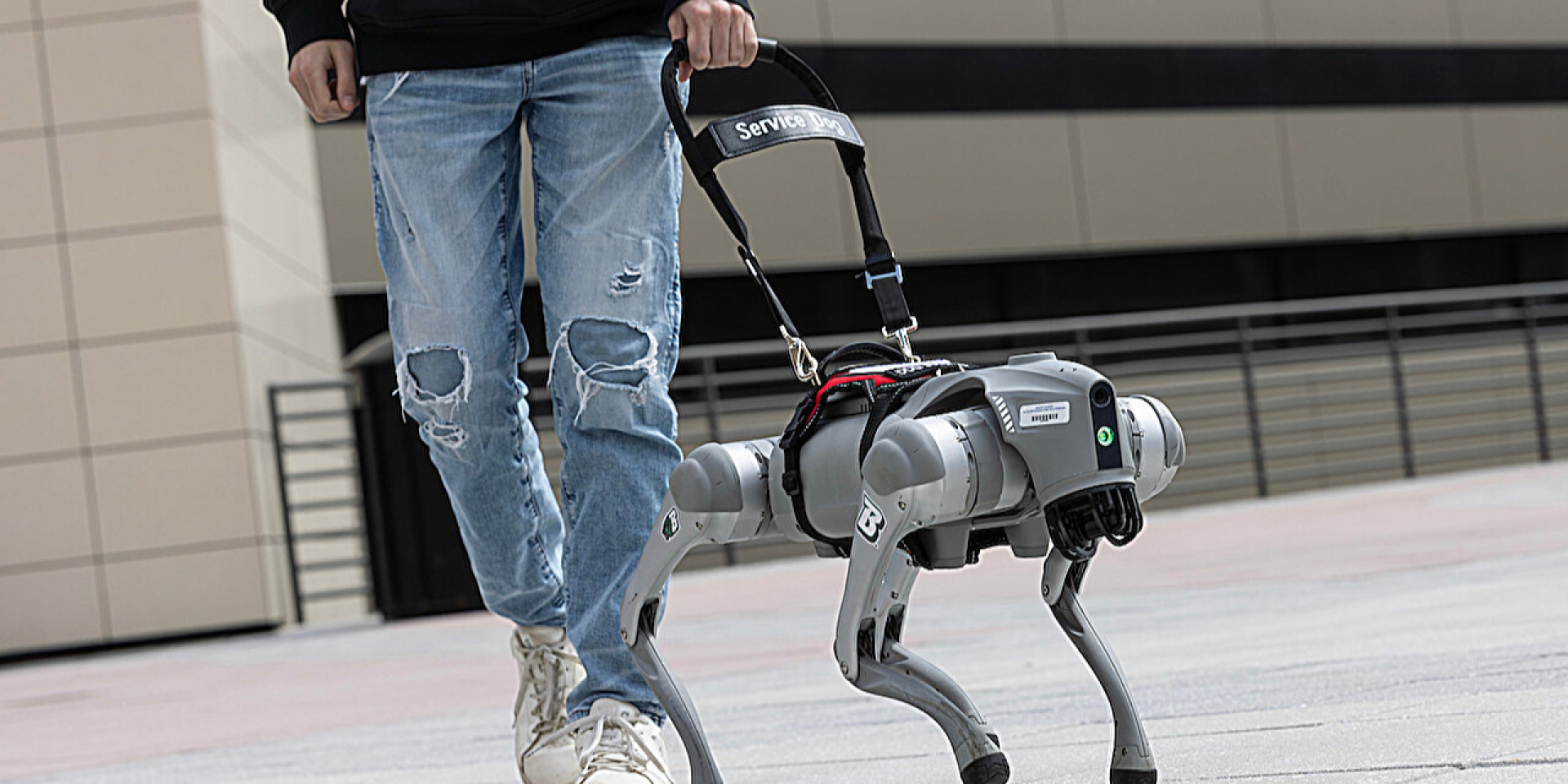 Вместо собаки. В США создали робота-поводыря, который общается с человеком
