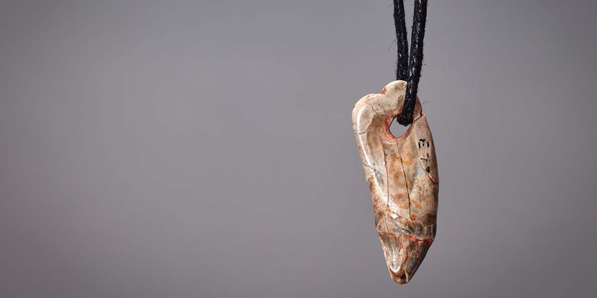 Сокровище ледникового периода. Кулон из зуба тюленя раскрыл тайны древних торговых путей