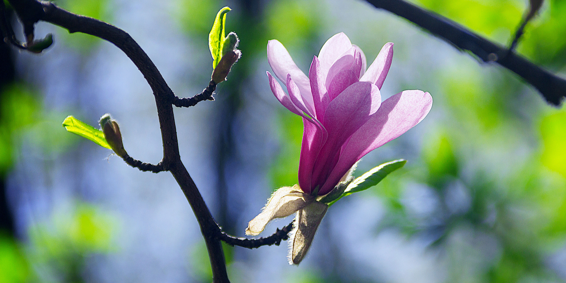 От -2 до +12. Где пройдет дождь в конце рабочей недели и установится самая холодная и самая теплая погода в Украине