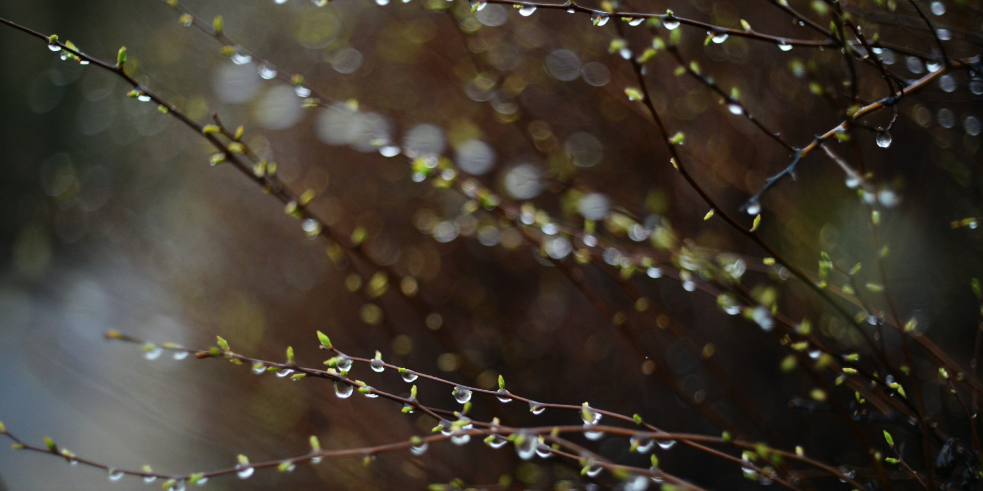 Какой будет погода в понедельник в Украине и где потеплеет до +15 °C