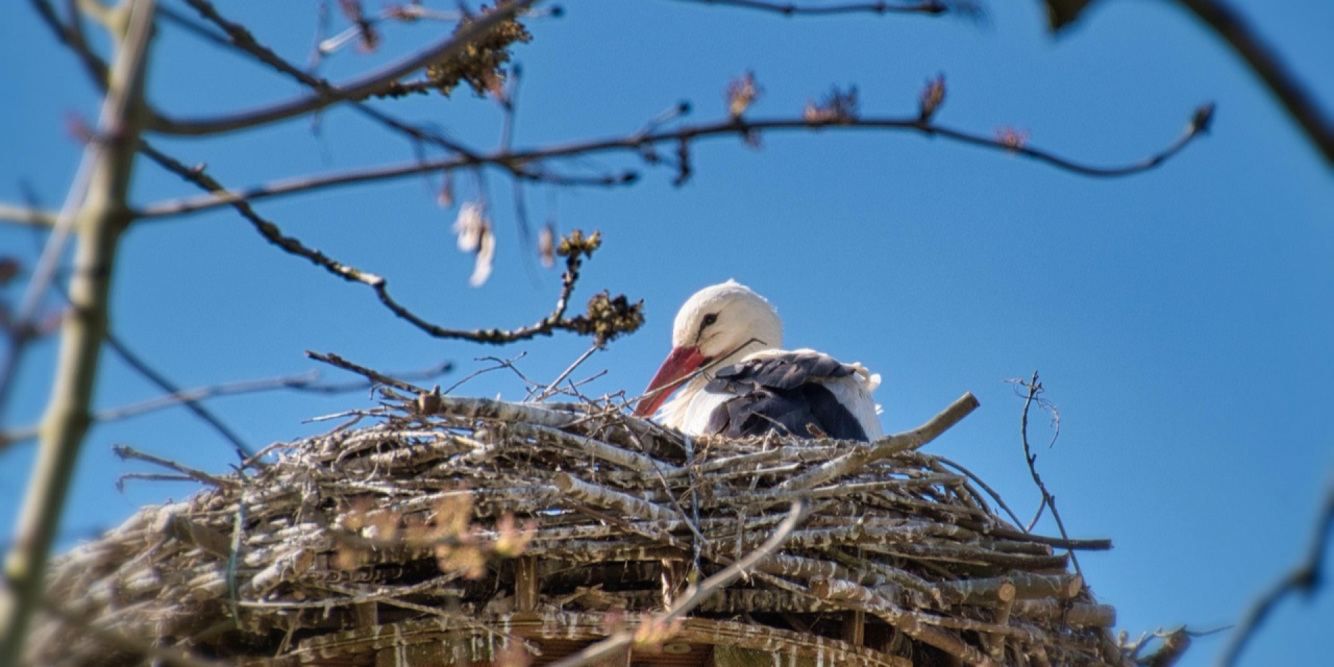 Дождь в трех регионах. Кто попадет под влияние атмосферного фронта и насколько потеплеет в середине недели в Украине
