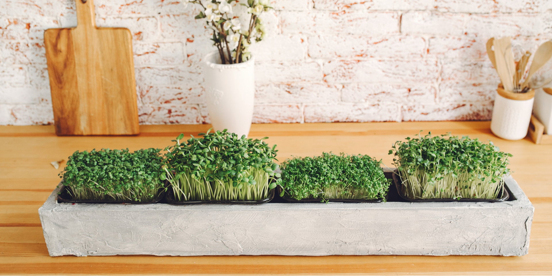 Даже в квартире. Шесть овощей и трав, которые можно вырастить на подоконнике вашей кухни