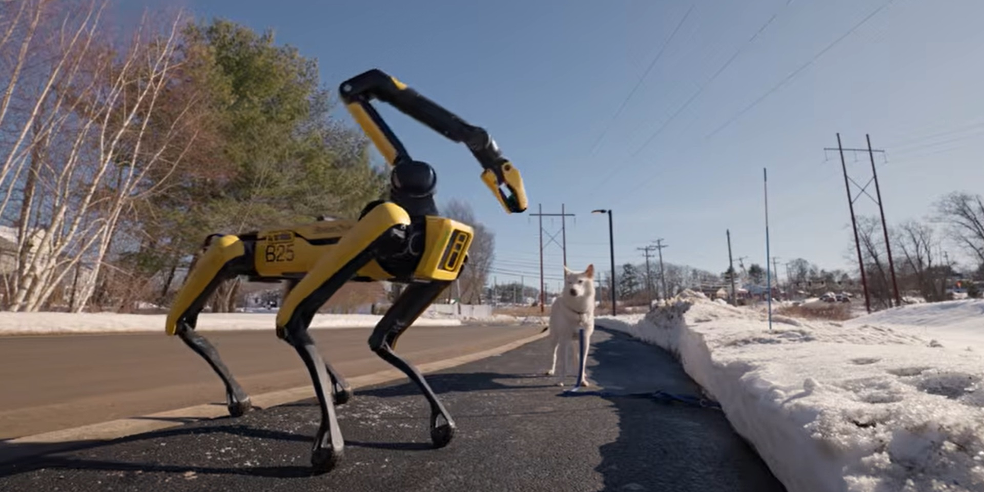 Робот Spot від Boston Dynamics гуляє з собакою під час демонстрації (Фото: Boston Dynamics/YouTube)