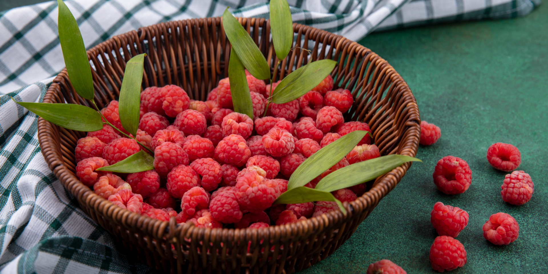 Когда и чем именно удобрять малину, чтобы собрать щедрый урожай