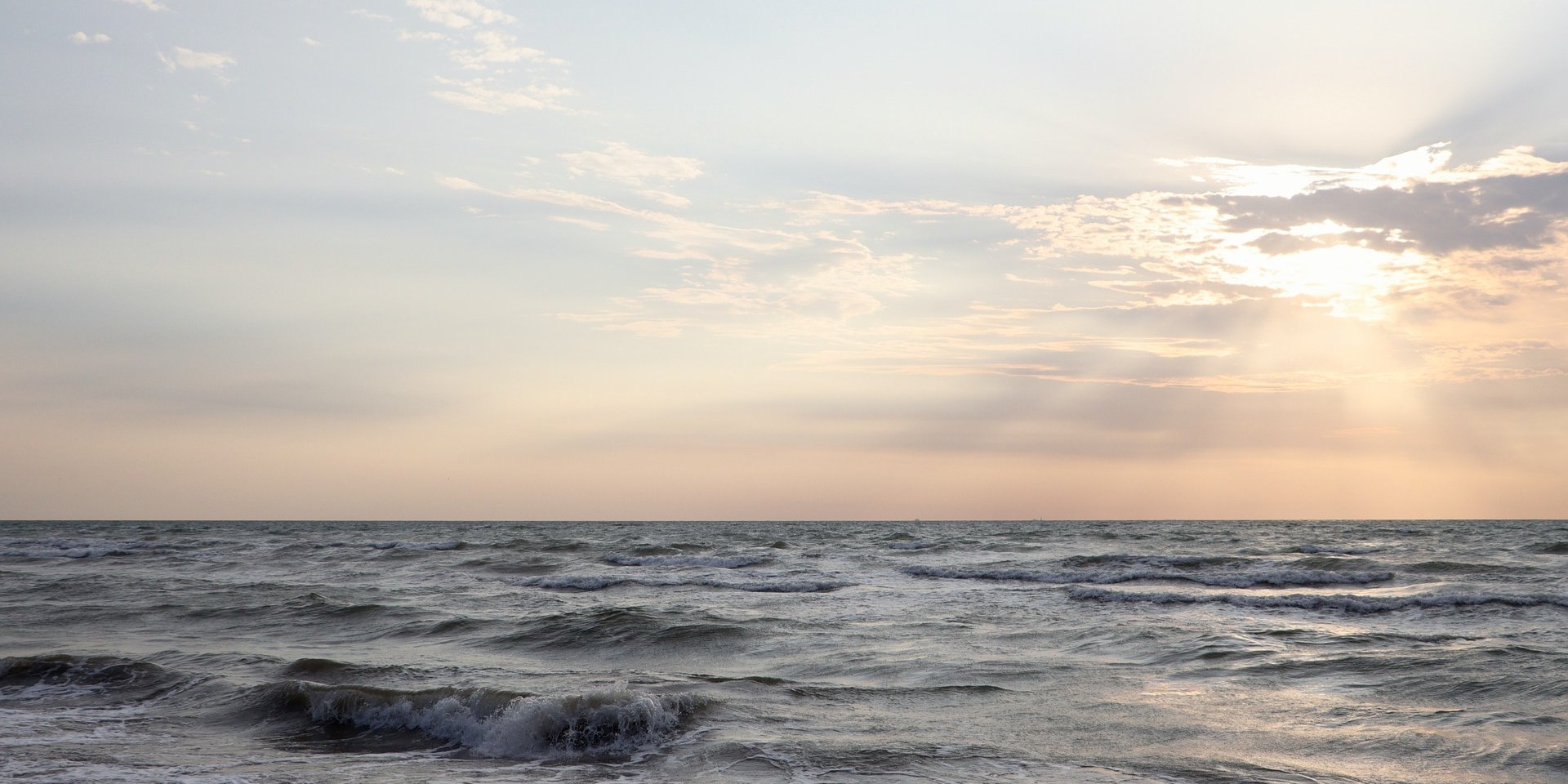 Росіяни хочуть масово виловити медуз в Азовському морі: чому це загрожує екологічною катастрофою