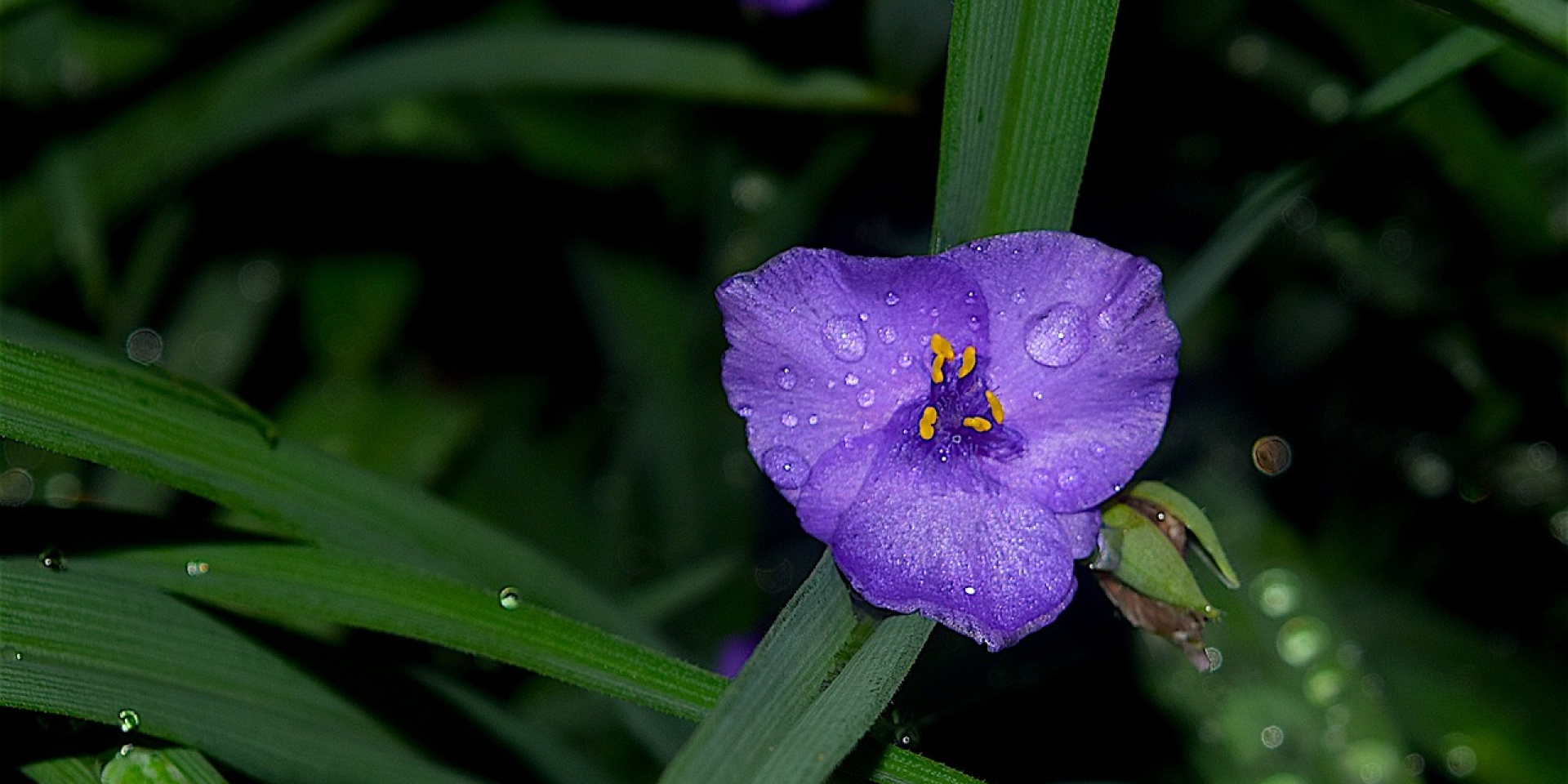 Под влиянием атмосферных фронтов. Где будет дождливо в течение выходных и какая температура воздуха ожидается в Украине
