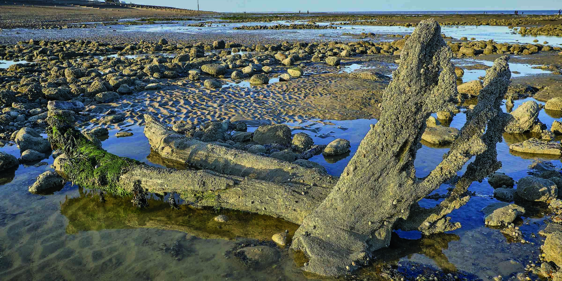 Леса под Северным морем. Ученые раскрыли тайну затопленного ландшафта Доггерленда