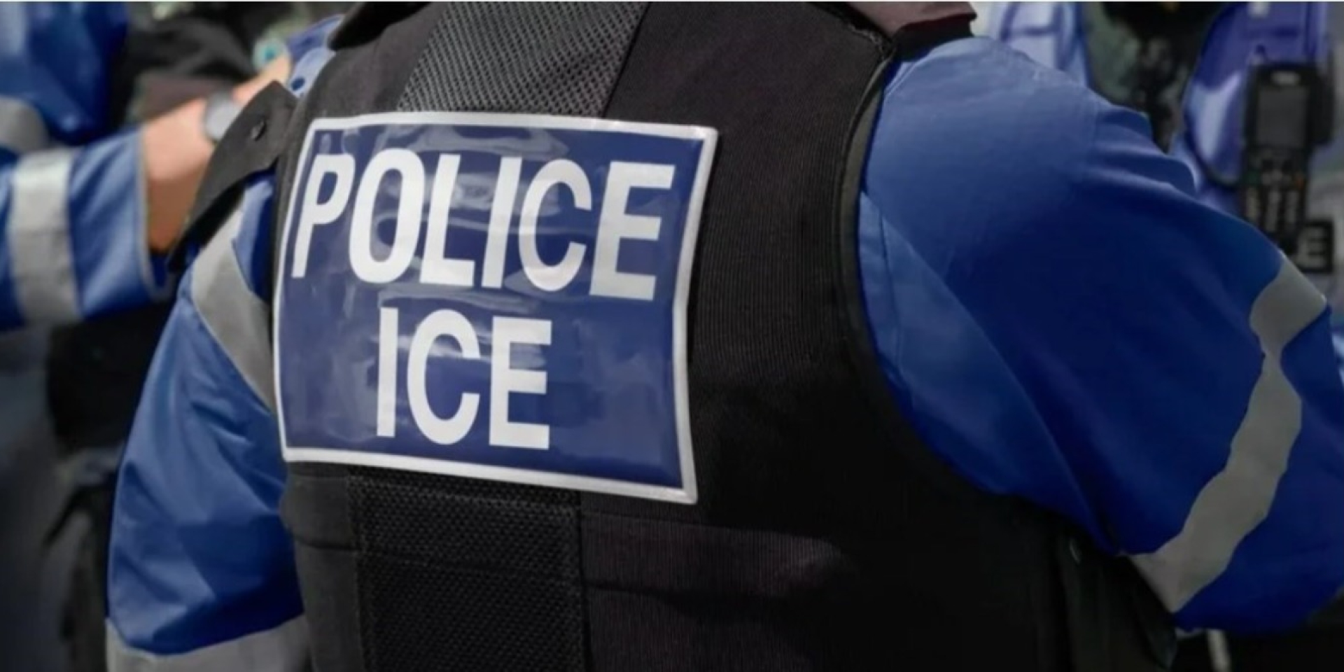 «В шоке и полностью измотана». Cотрудники ICE отпустили 86-летнюю француженку, которая приезжала в США для брака с любовью молодости