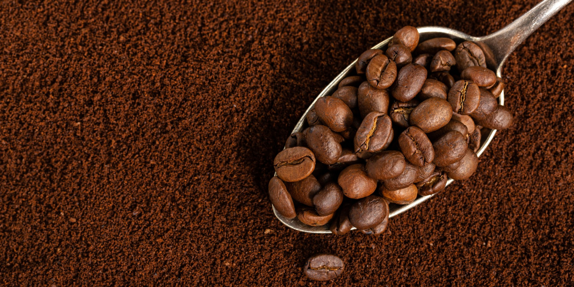 Как хранить молотый кофе, чтобы он дольше оставался свежим — неожиданный лайфхак от бариста