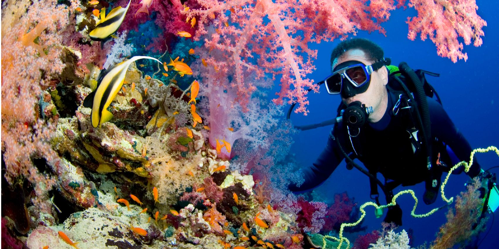 Дайвінг в Єгипті (Фото: umka-diving)