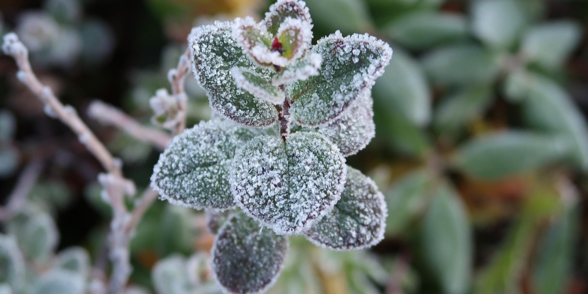 Зимняя погода посреди весны. Где температура воздуха снизится до -5 и пройдут дожди с мокрым снегом в Украине