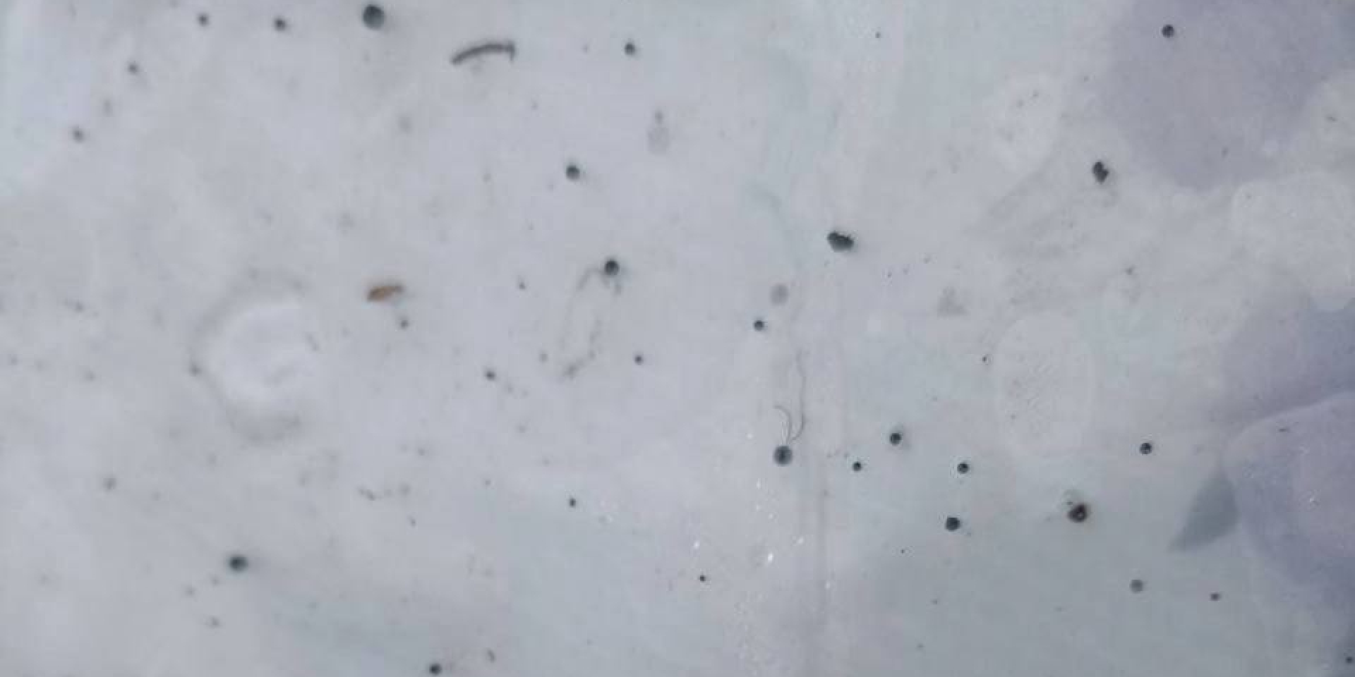 В Туапсе после атаки украинских БпЛА выпал «нефтяной дождь» — видео