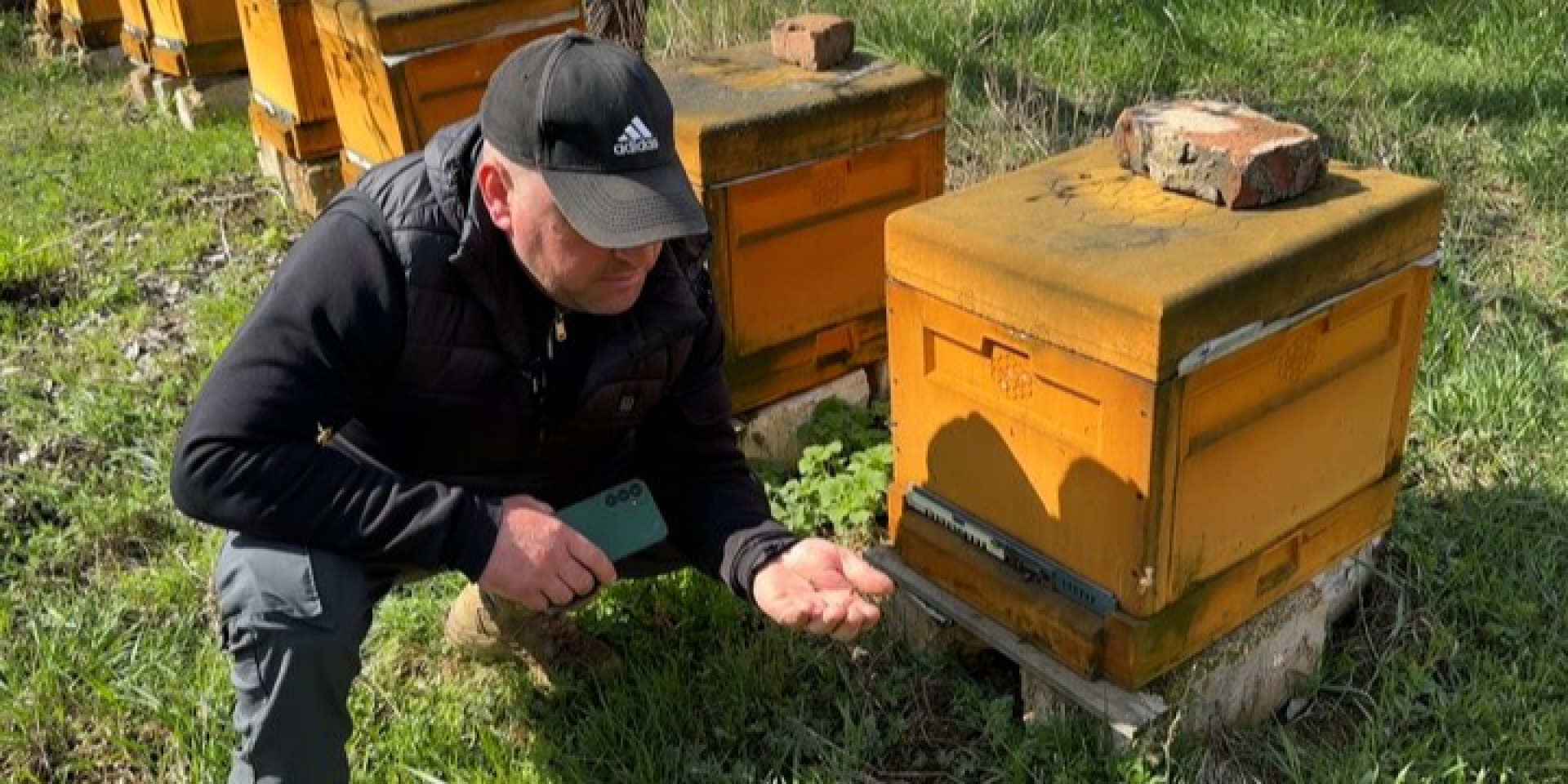 «От взрывов гибнут пчелы». Фермер из Донеччины развивает хозяйство вблизи линии фронта