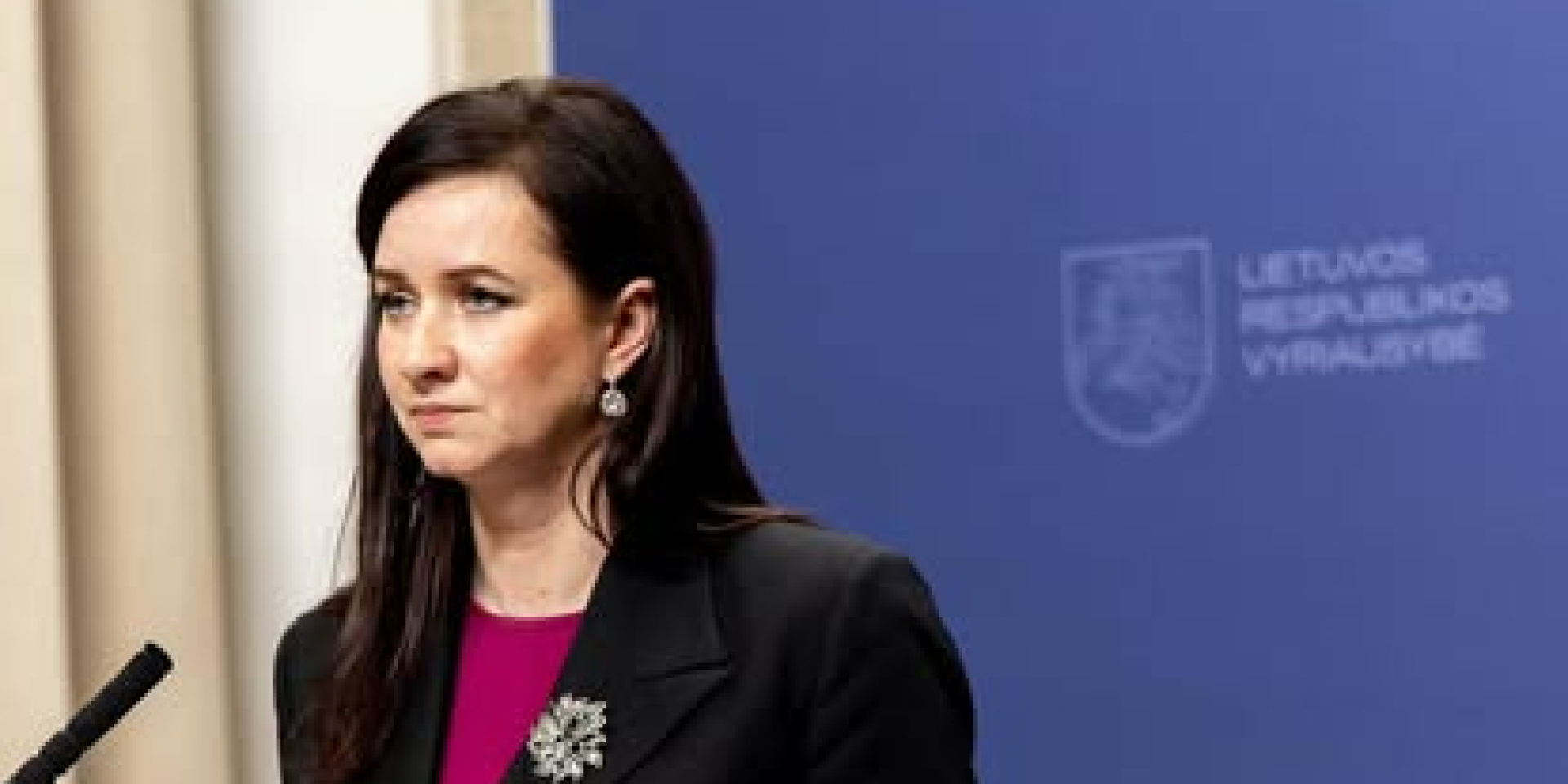 В Литве назвали слова Зеленского о возможном нападении РФ на страны Балтии «риторикой запугивания»