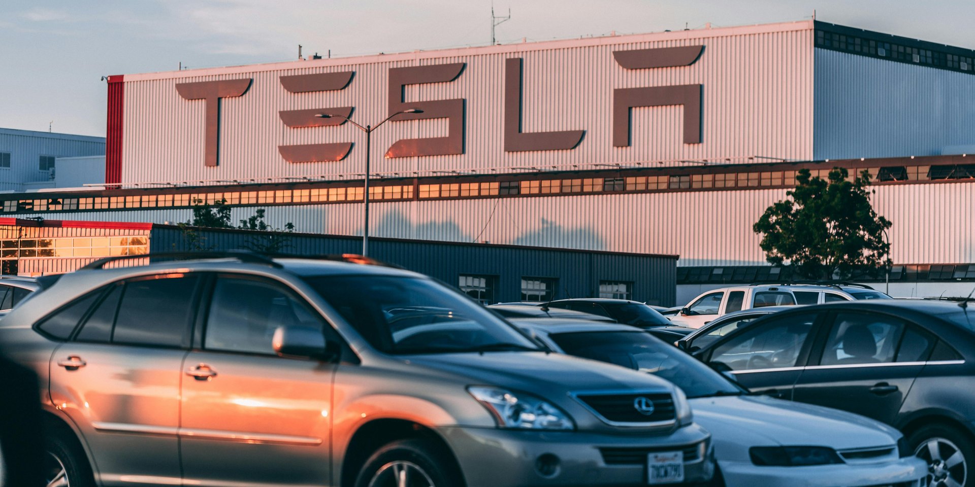 Tesla (Фото: pexels.com)