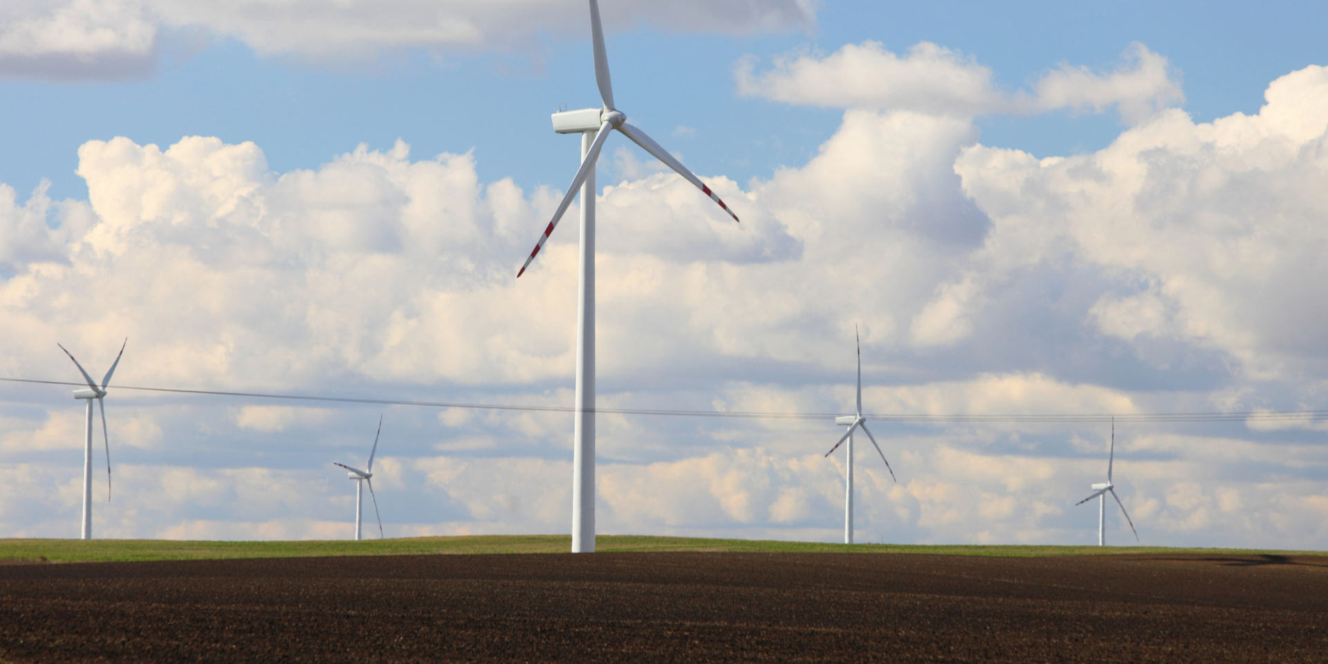 «Осторожно под билбордами и деревьями». Синоптик предупредила о непогоде с сильным ветром и заморозками в Украине