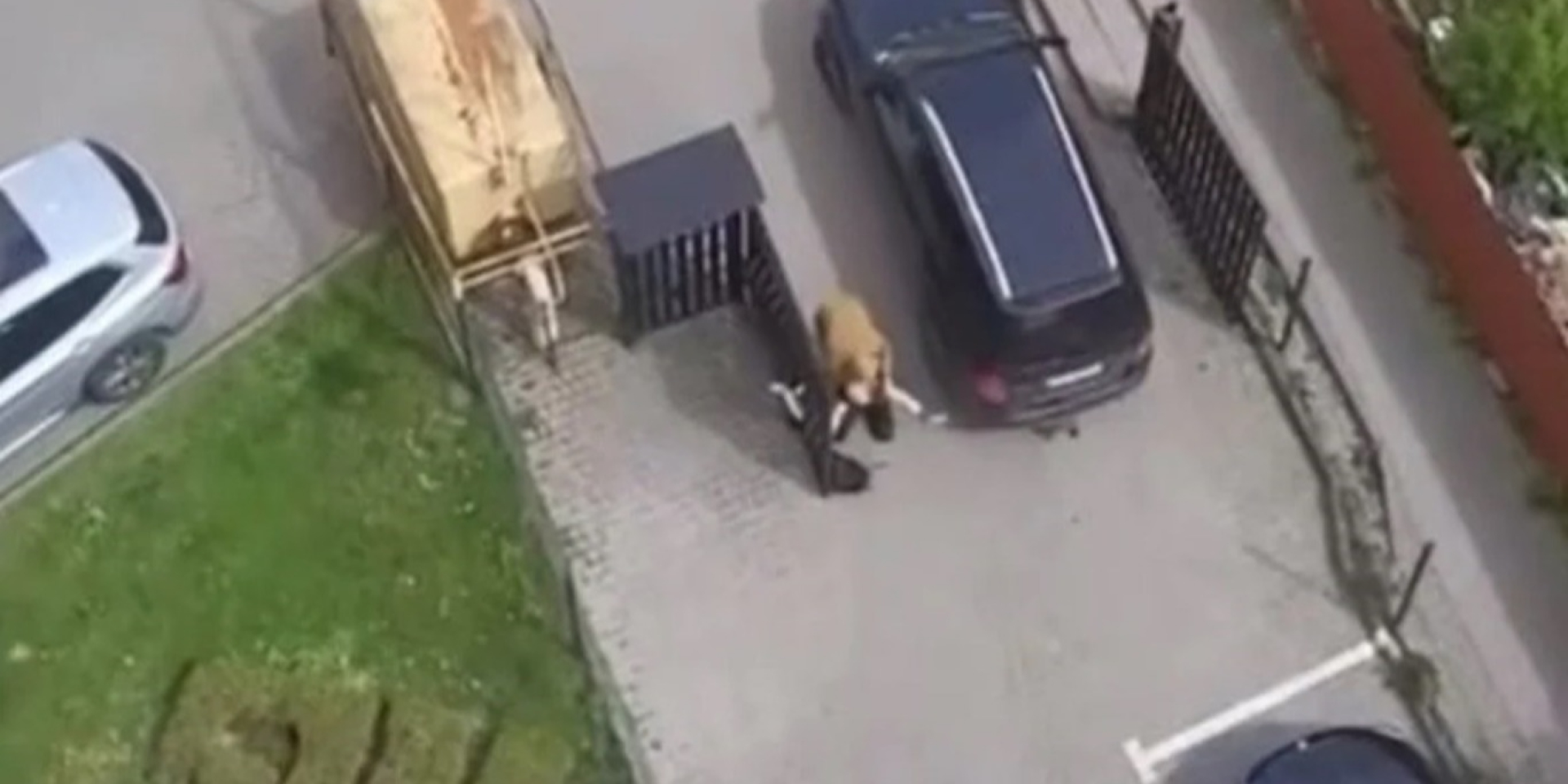 Во Львове на женщину наехал автомобиль ТЦК, военные утверждают, что та препятствовала мобилизации мужчины