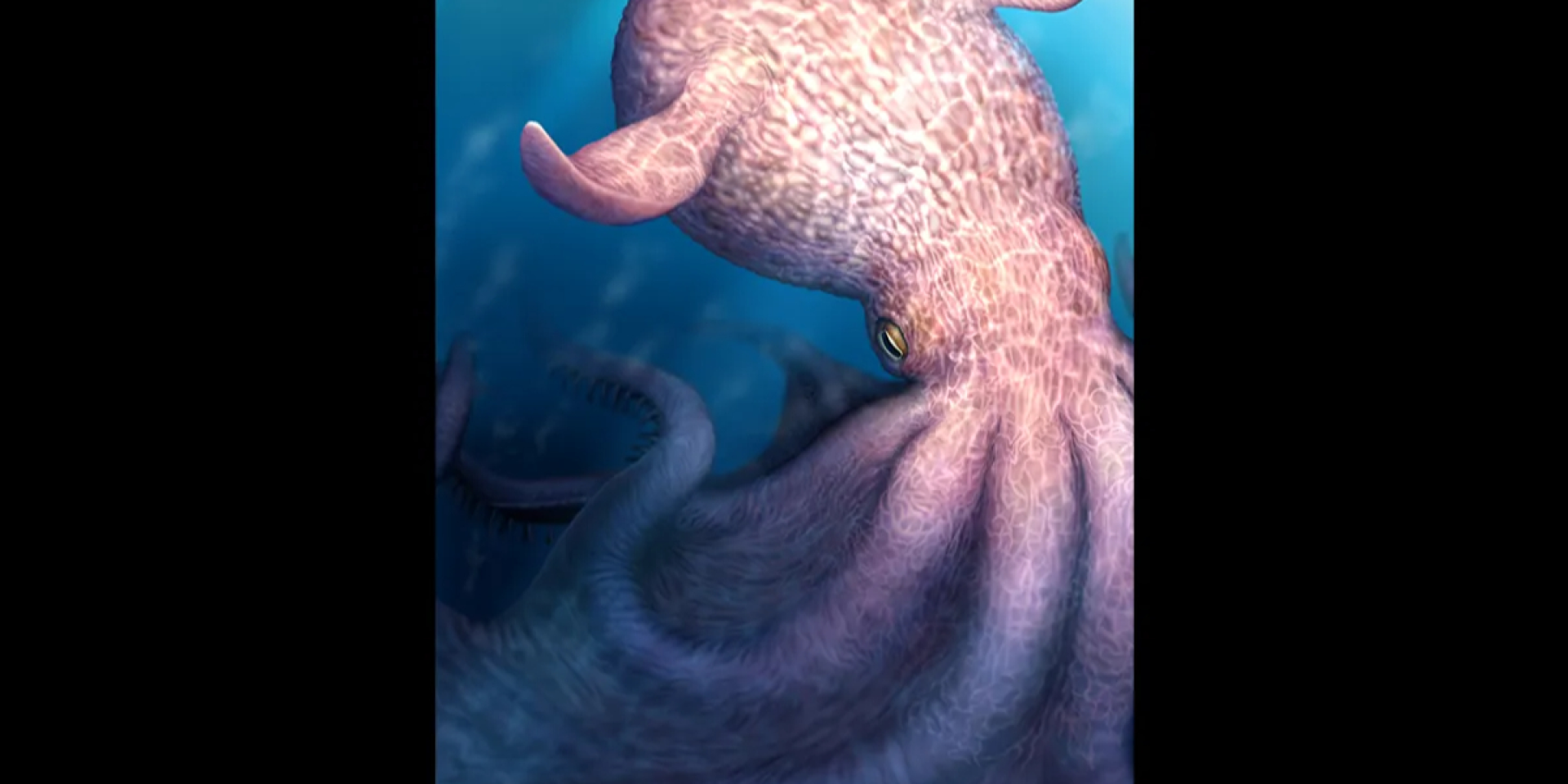 Настоящий Кракен. В меловом периоде обитали осьминоги длиной 19 метров