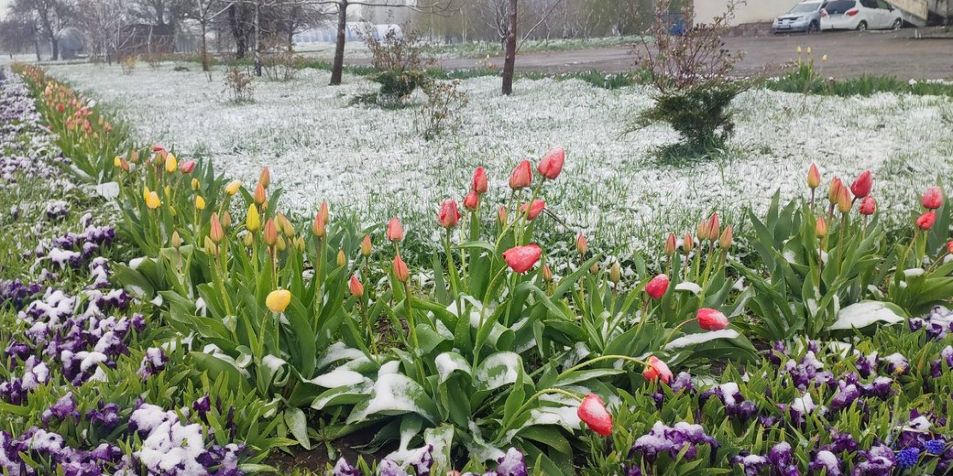 Snow falls across Kharkiv, Dnipro, and Sumy amid sudden cold