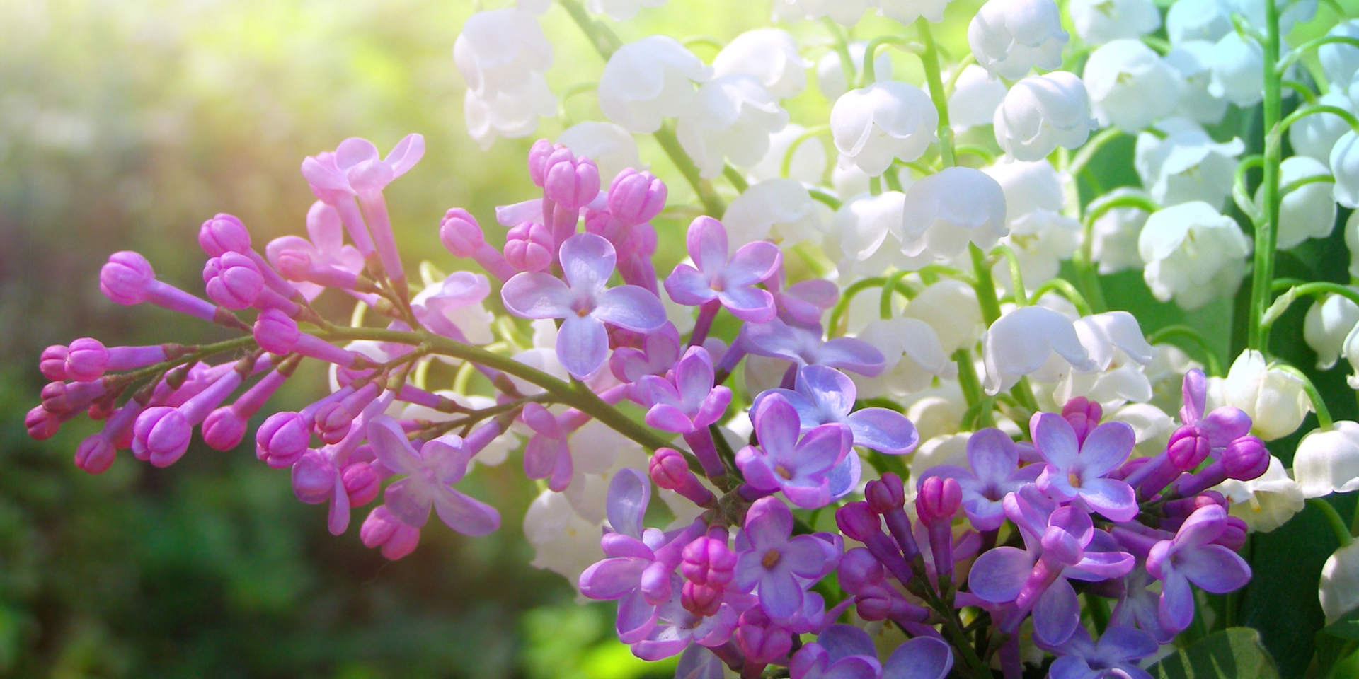 Май в Украине. Синоптики дали климатическую характеристику месяца и сообщили, ожидаются ли аномальные температурные показатели