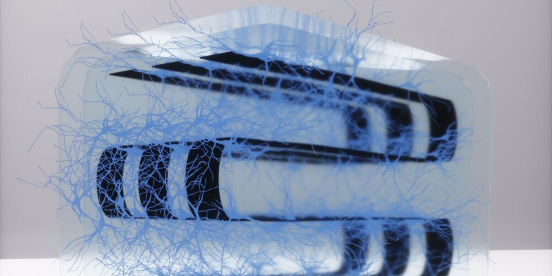 Бионика будущего. В США создали гибридную систему из живых клеток мозга и электроники