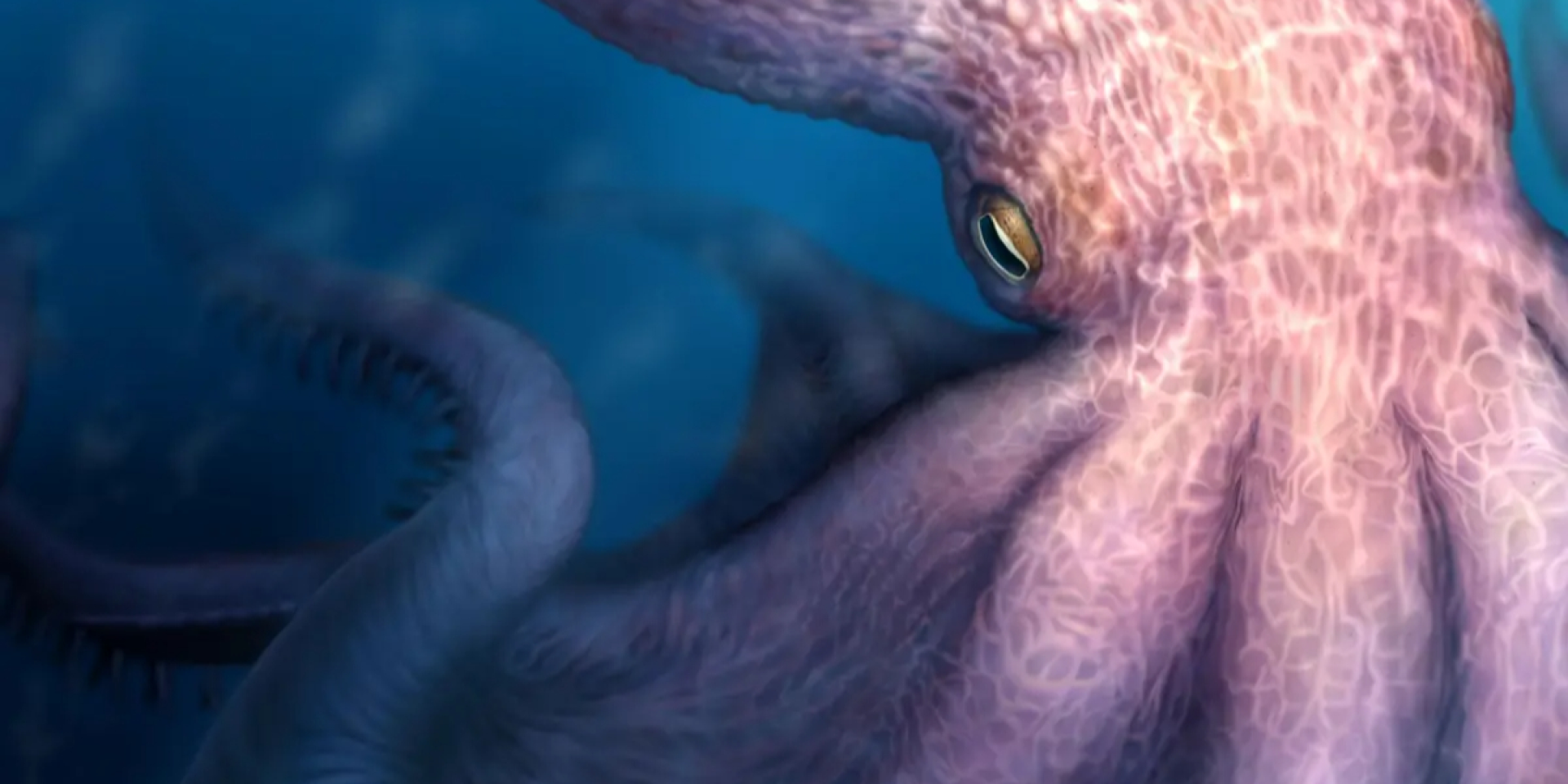 19-метровый осьминог держал в страхе океаны 100 млн лет назад — BBC