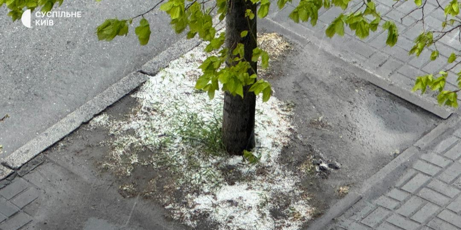 Kyiv residents warned of severe wind and hail as temperatures set to plummet