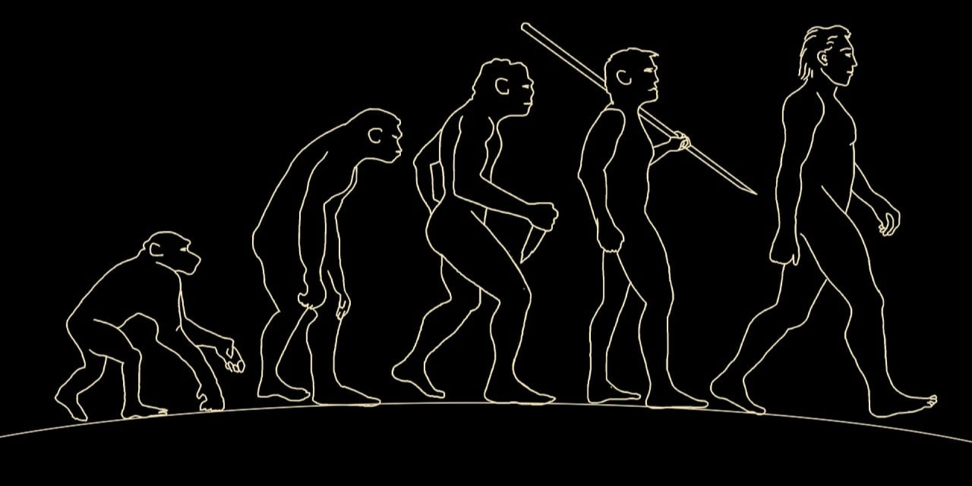 Эволюция как сеть. Генетический анализ опроверг теорию о едином происхождении человечества