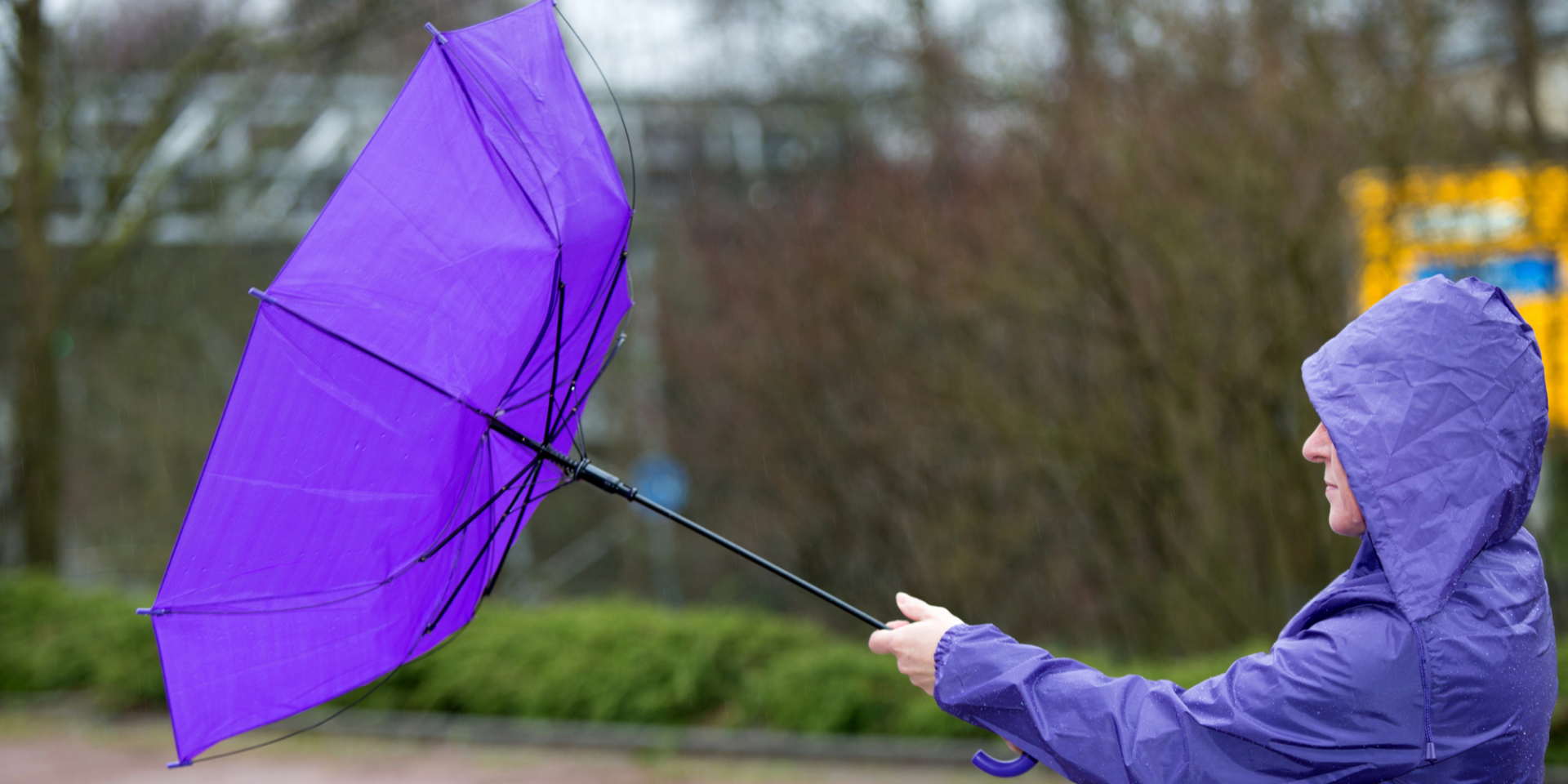 Шторм, срывающий крыши. Когда прекратится ветер, будут ли заморозки до мая и где ожидается дождь и град в течение недели в Украине