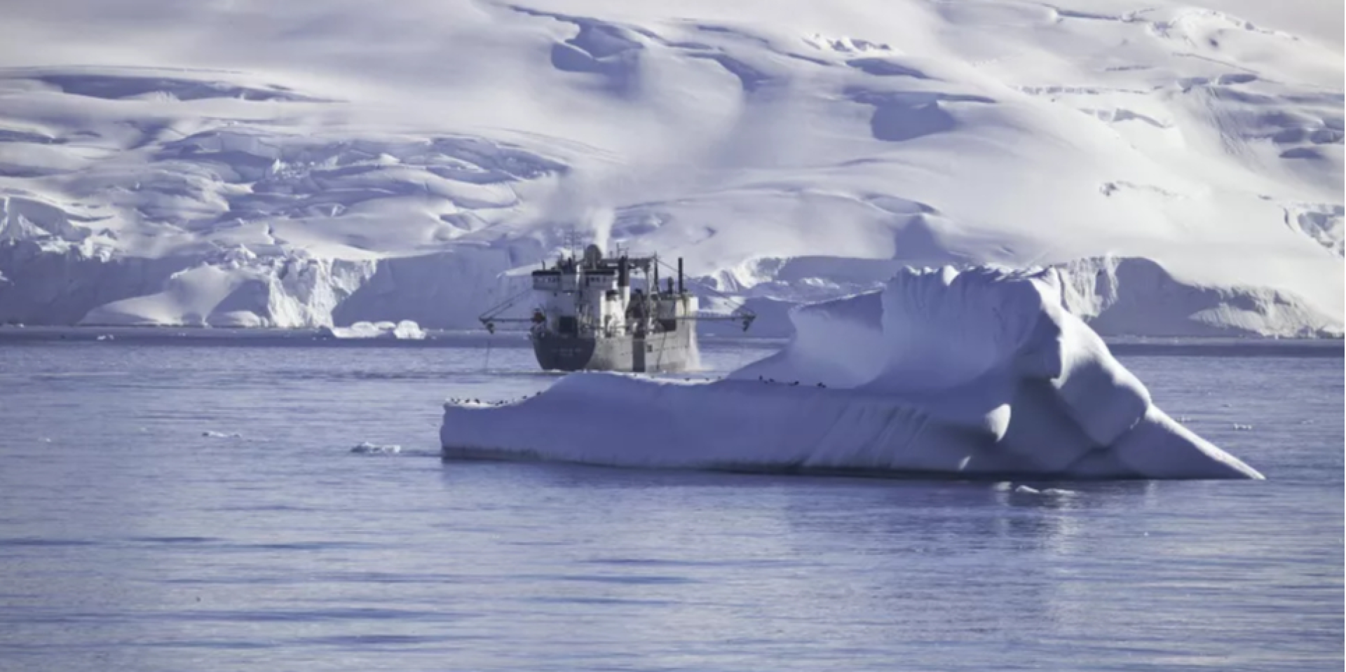 По «олимпийскому» принципу. Украинских рыбаков приглашают к промыслу в Антарктике