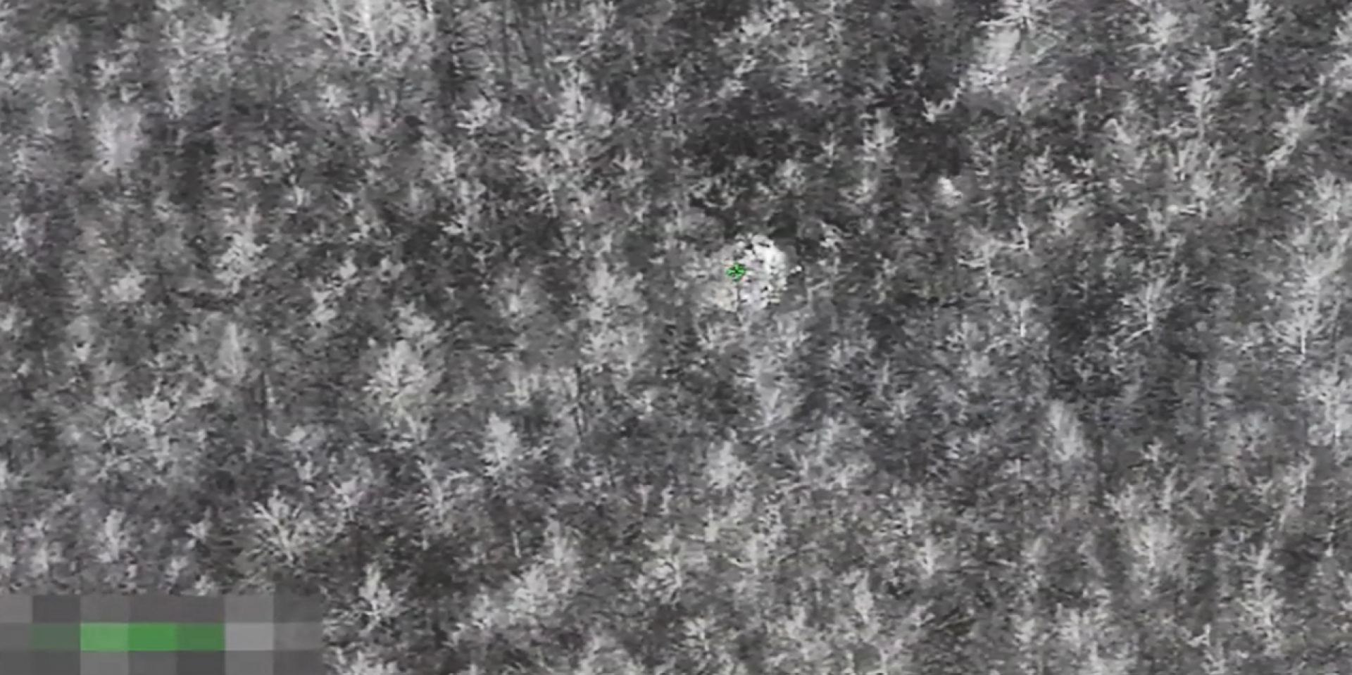 Больше всего в этом году. За сутки из Беларуси в Литву пыталось попасть 50 мигрантов