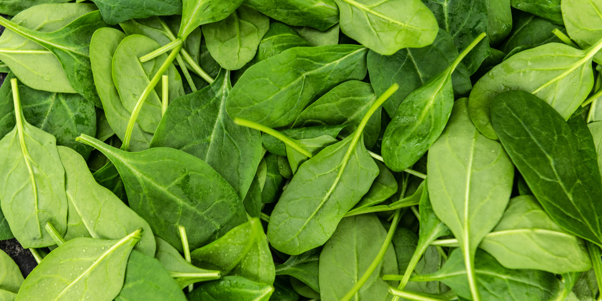 Просто ешьте. Как получить больше магния без добавок: список продуктов для сна и сердца